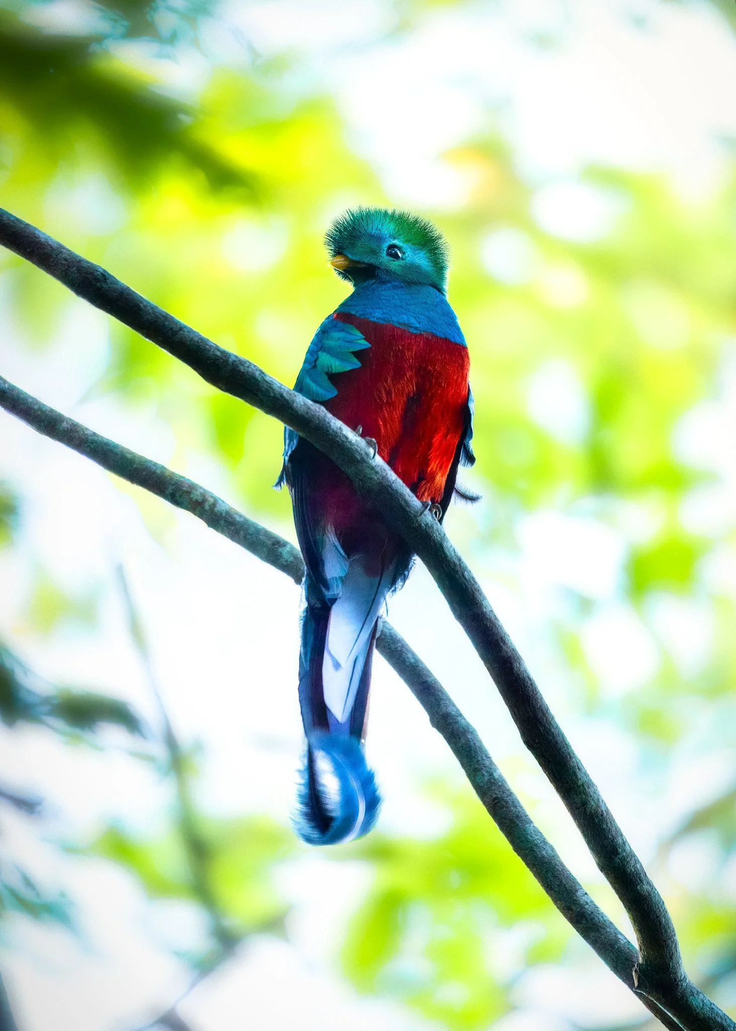 _Q0A7301-Editar_Original ratio_1463x2048_U_100.jpg