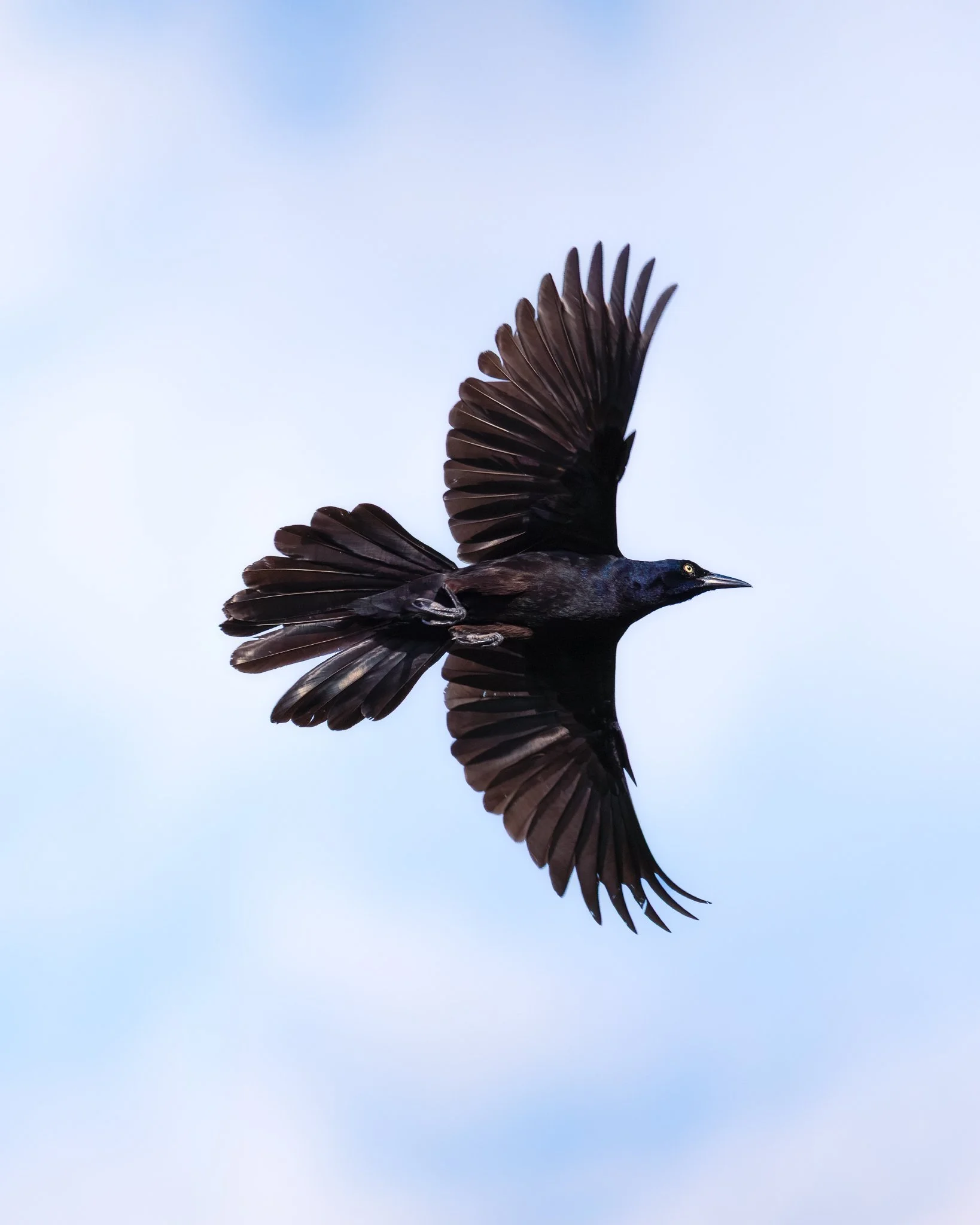 _Q0A4187-Editar_Original ratio_1638x2048_U_100.jpg