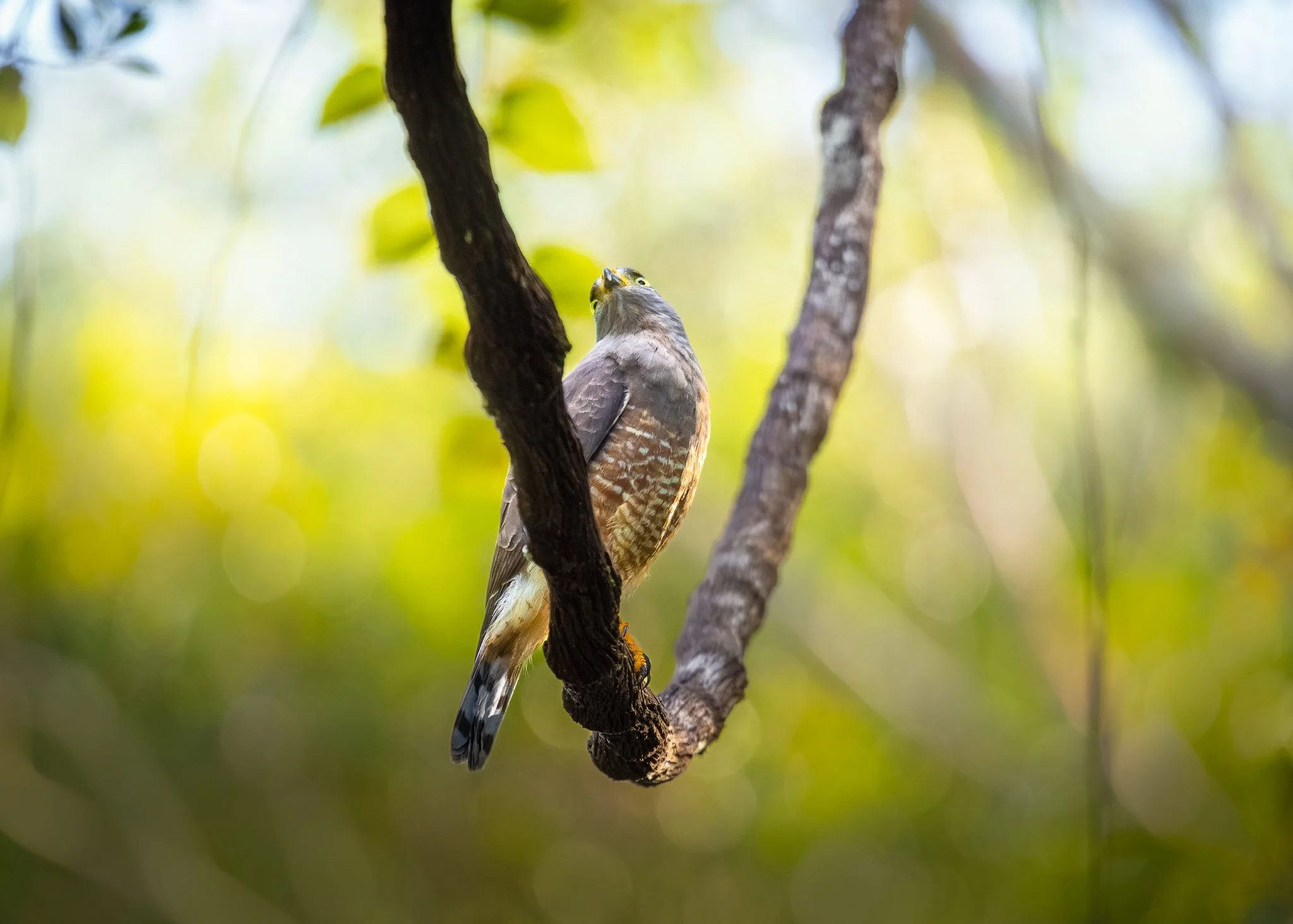 _Q0A8421-Editar_Original ratio_2048x1463_U_100.jpg