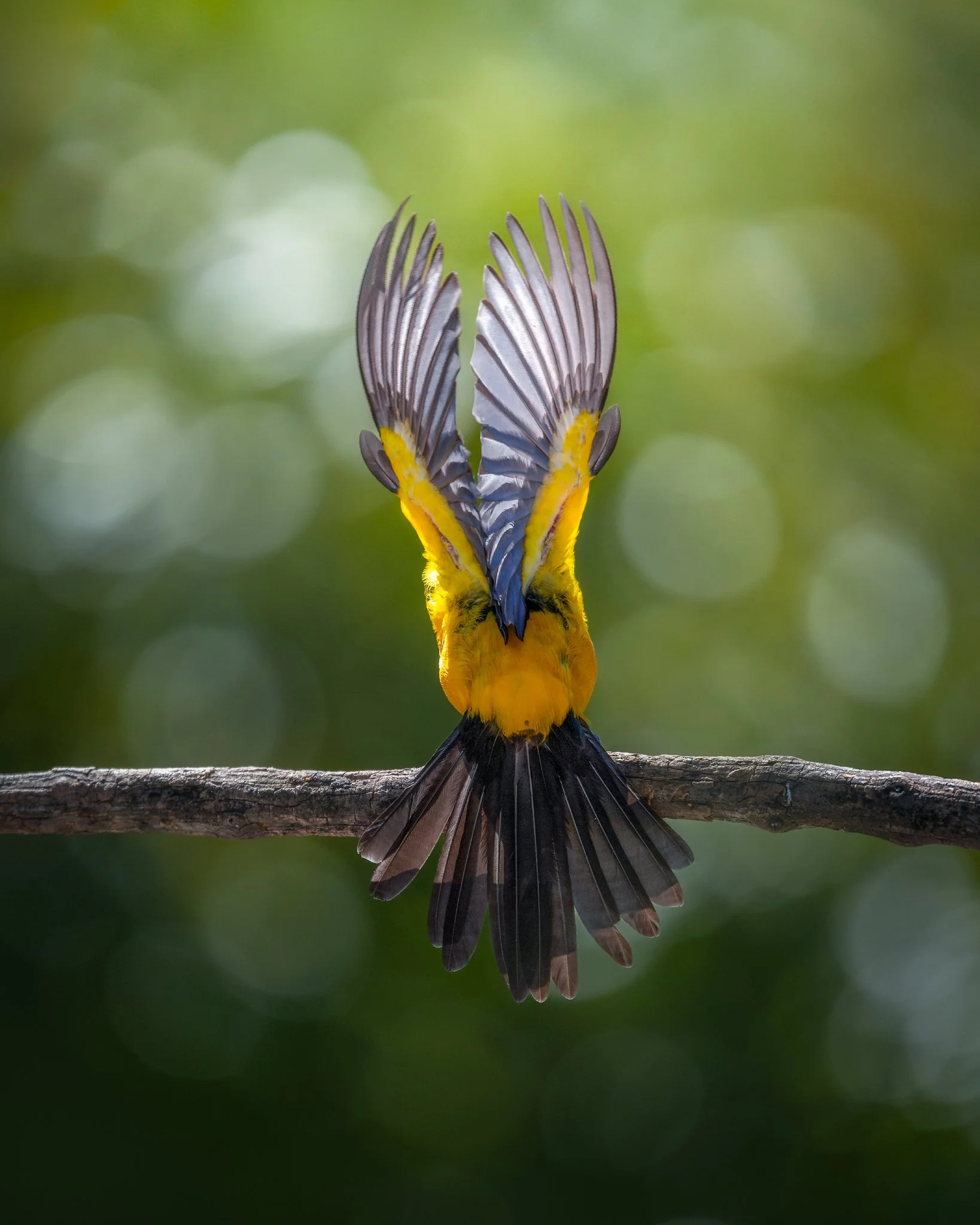 _Q0A0325-Editar_Original ratio_1638x2048_U_100.jpg