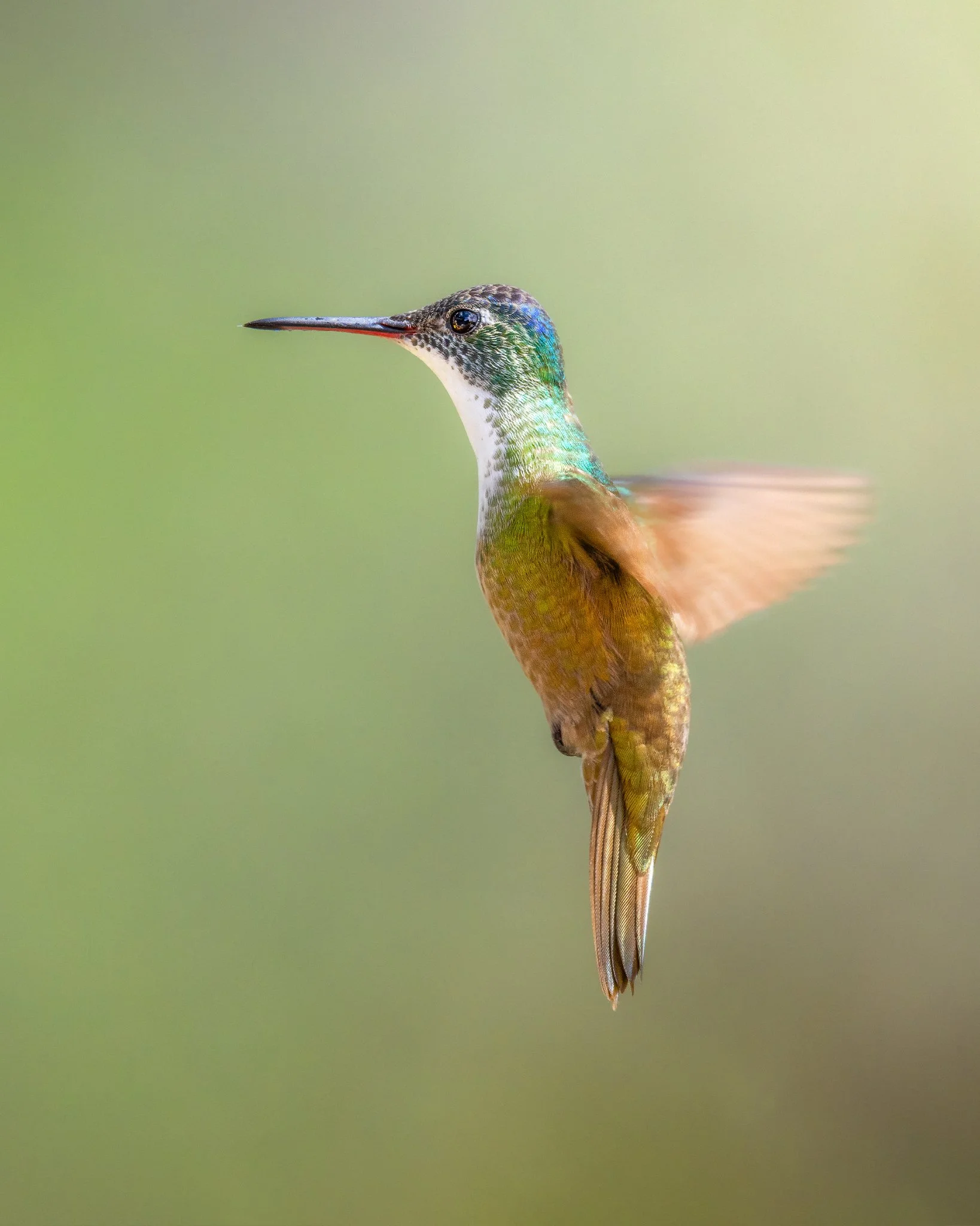 _N0A2755_1638x2048_U_100_Original ratio.jpg