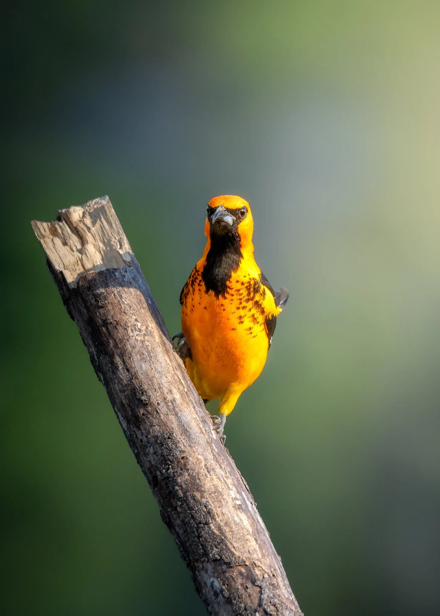 _Q0A4645-Editar_Original ratio_1463x2048_U_100.jpg