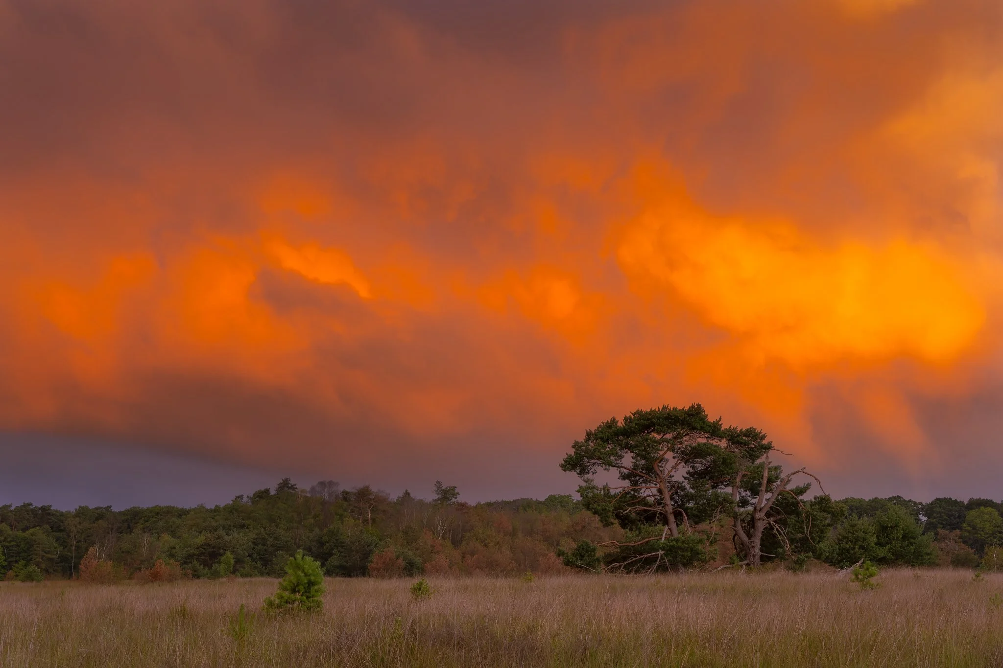 _N0A0437-1_2048x1365_U_100_Original ratio.jpg