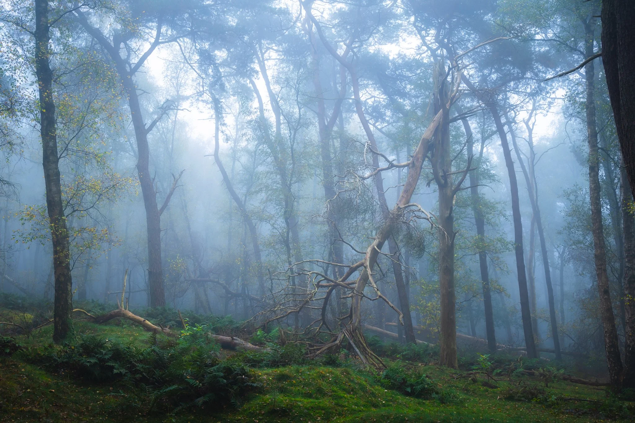 _N0A6847_2048x1365_U_110_Original ratio.jpg