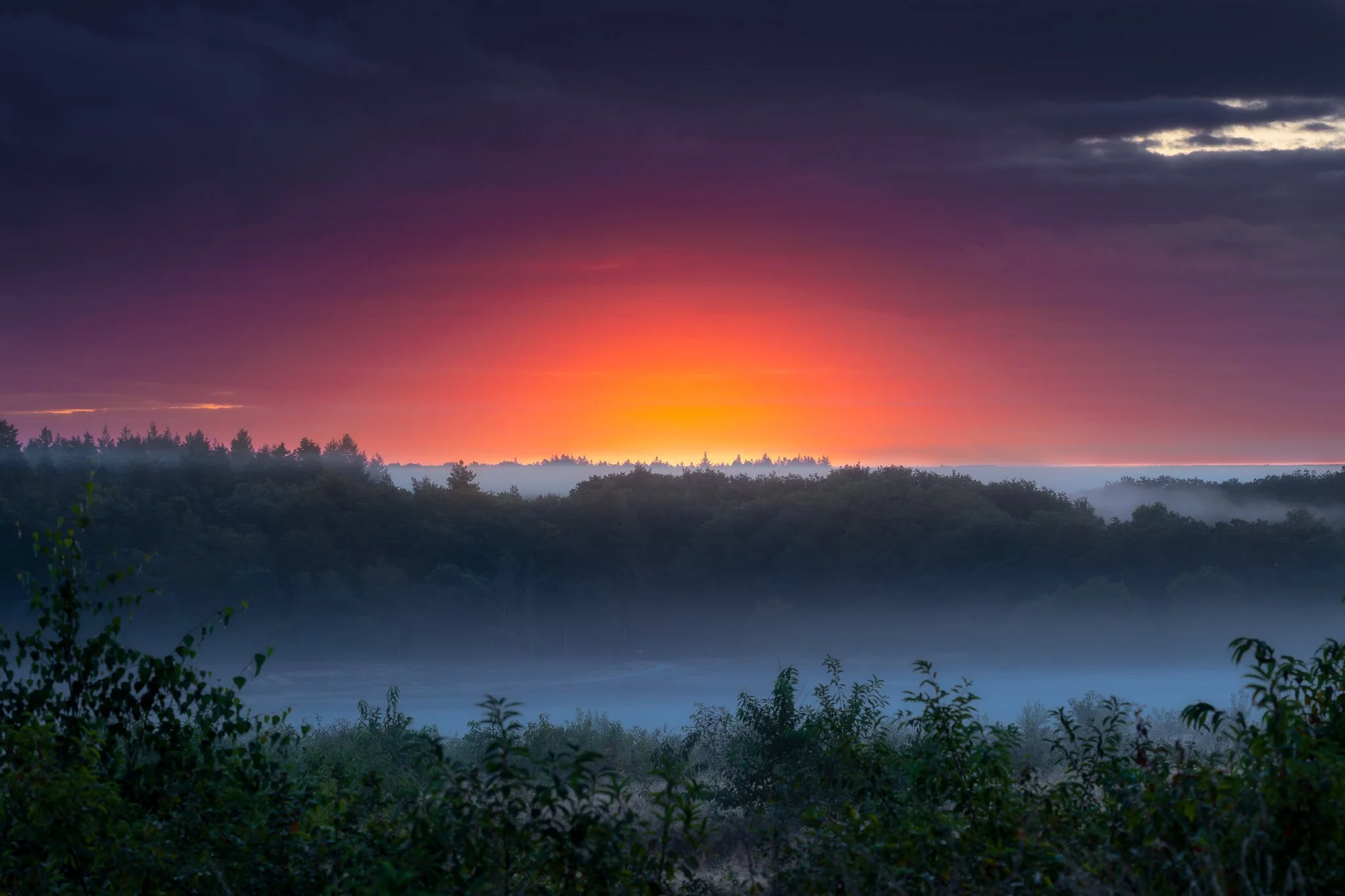 _N0A4195_2048x1365_U_100_Original ratio.jpg