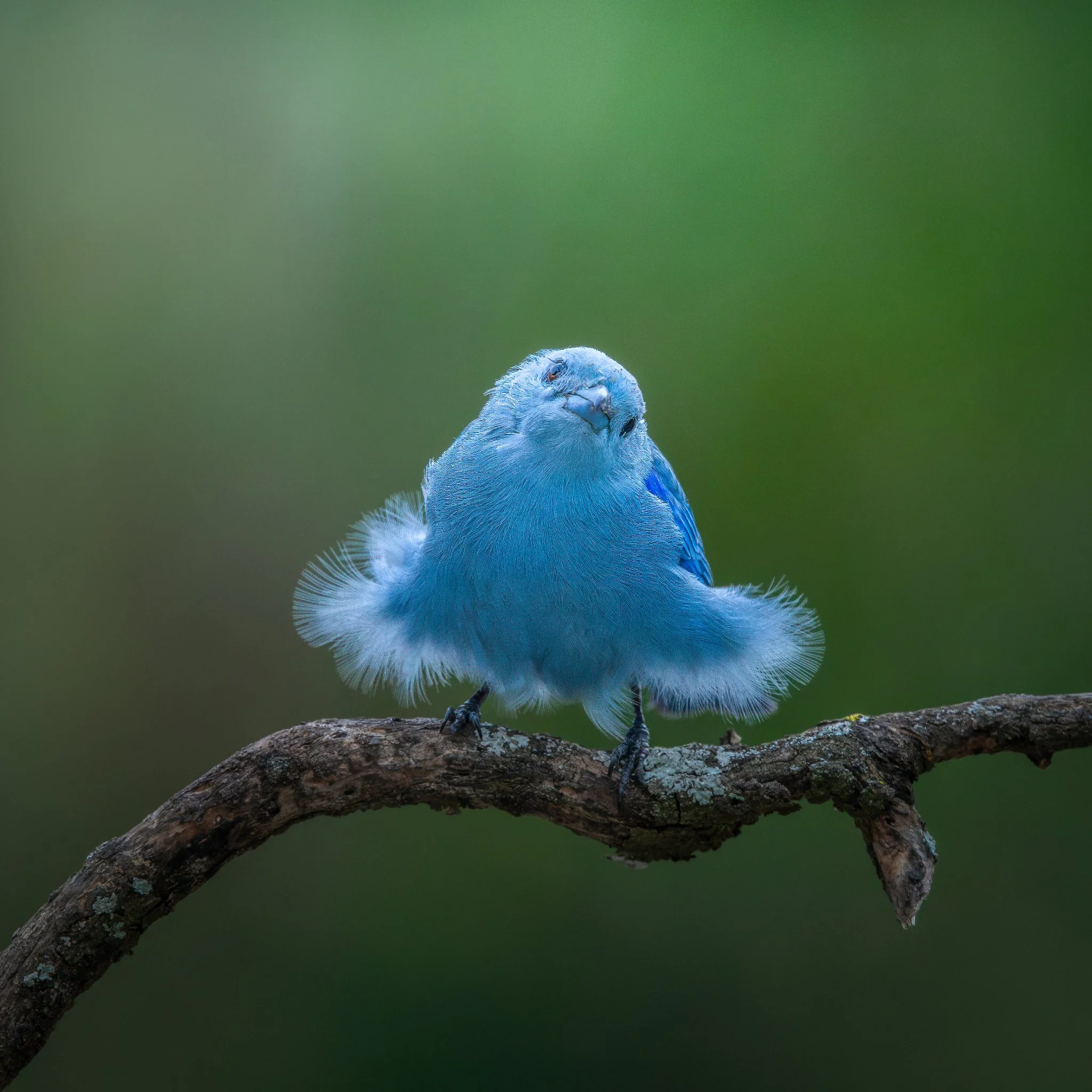 _Q0A2541_Original ratio_2048x2048_U_100.jpg