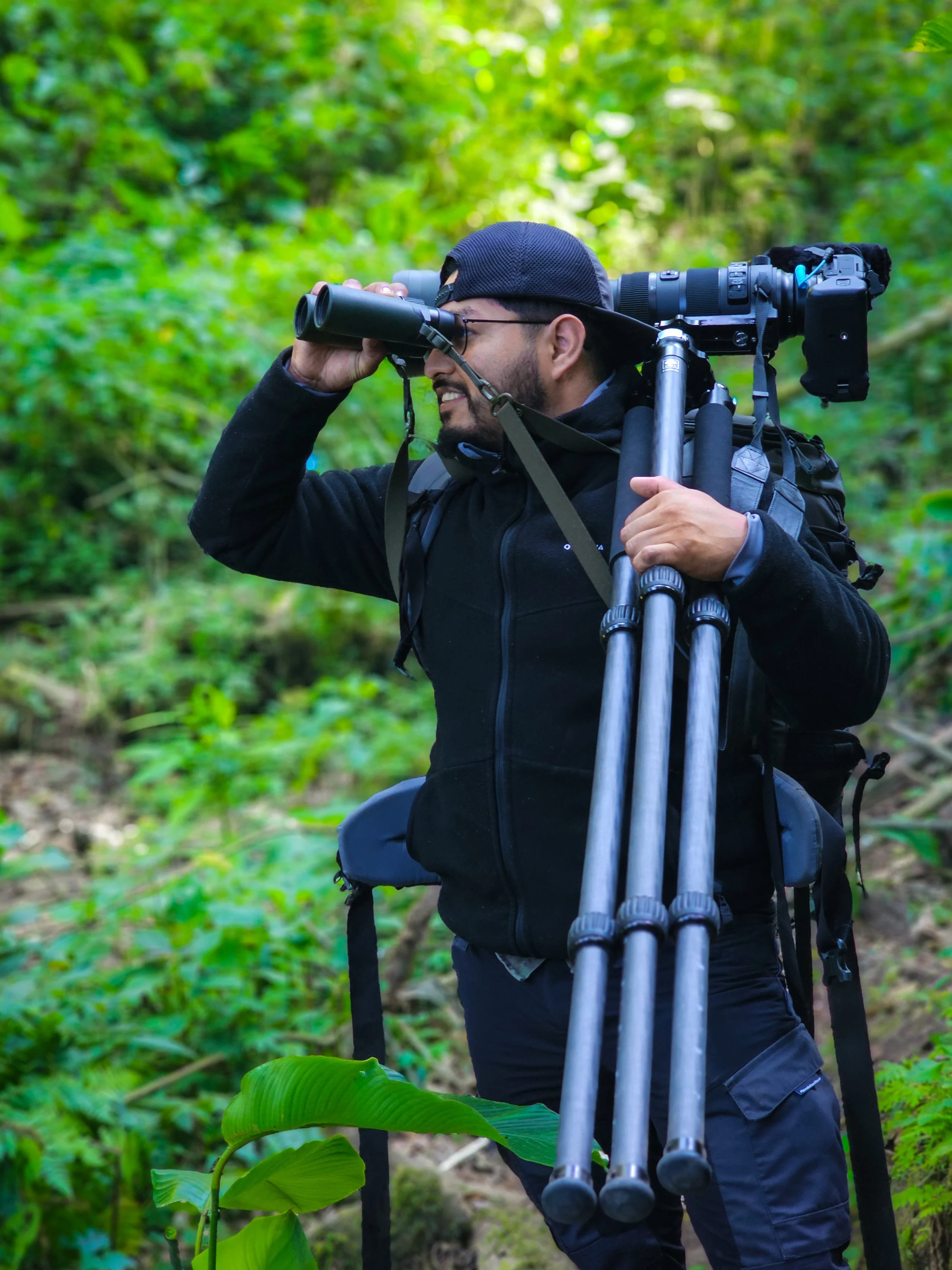 A man in a black jacket and cap using binoculars in a lush green forest, with a tripod and camera gear on his back.
