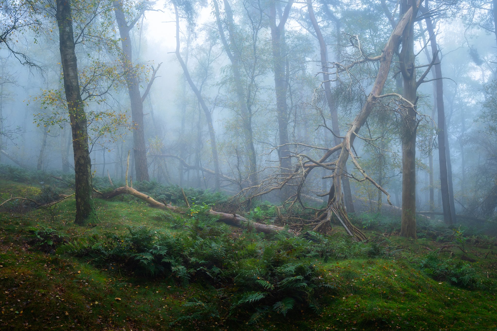 _N0A6859_2048x1365_U_110_Original ratio.jpg