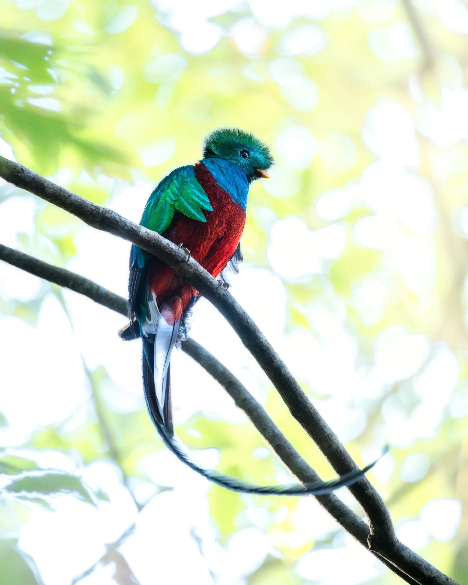 _Q0A6393-Editar_Original ratio_1638x2048_U_100.jpg