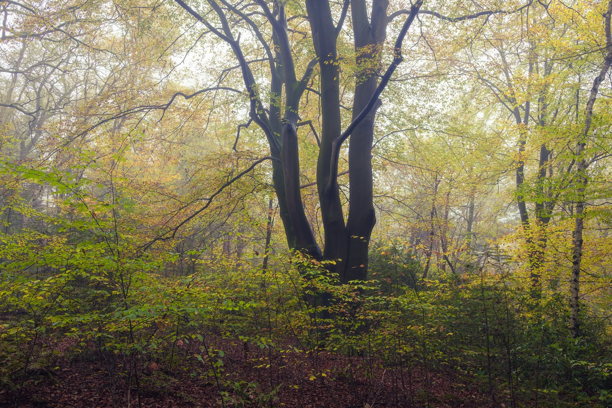 _N0A7165-Enhanced-NR-Edit_2048x1365_U_110_Original ratio.jpg