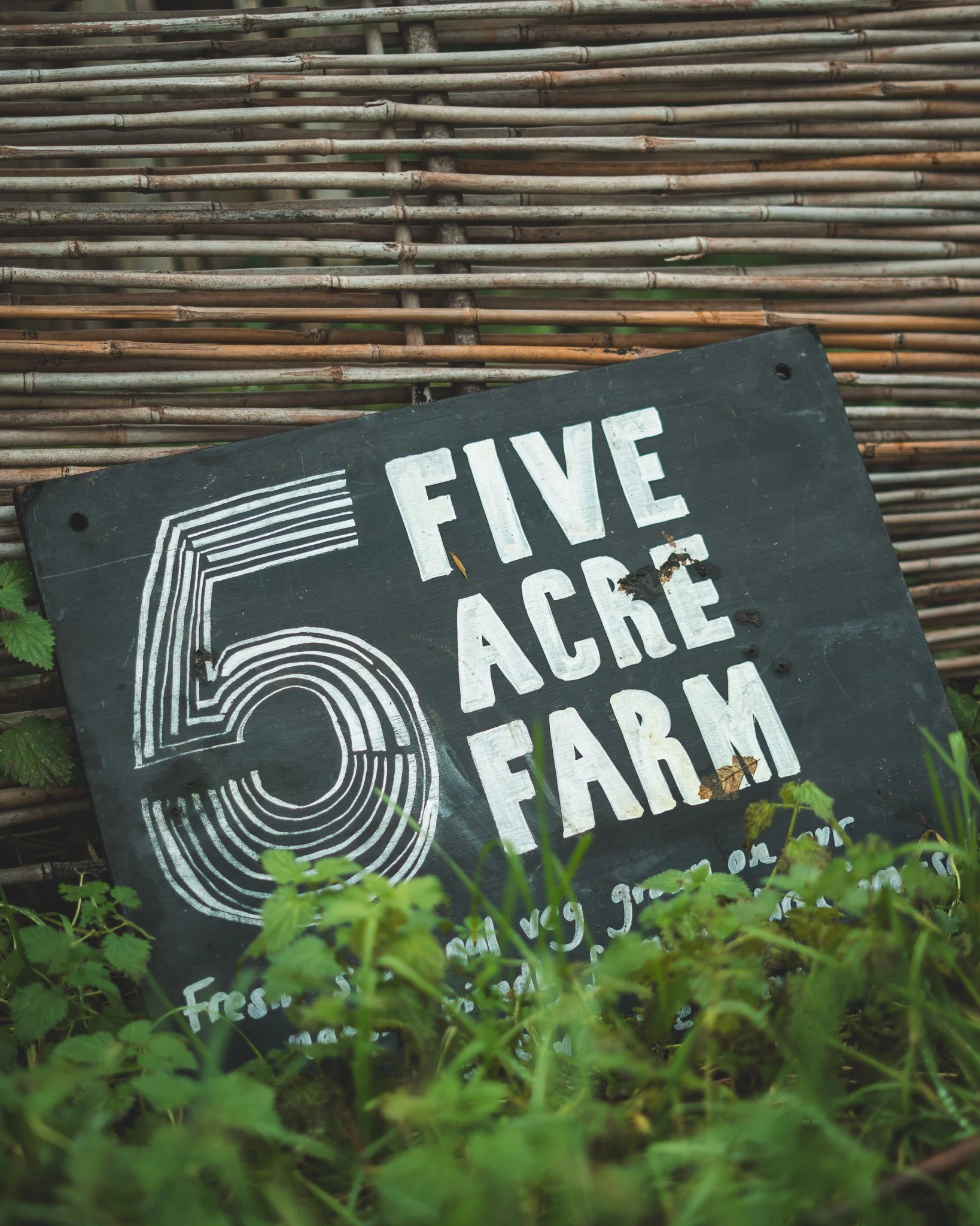 At Unfold Sauna Club Chalkboard sign reading 'Five Acre Farm' with a large number 5 and green plants in the foreground, against a bamboo fence background.