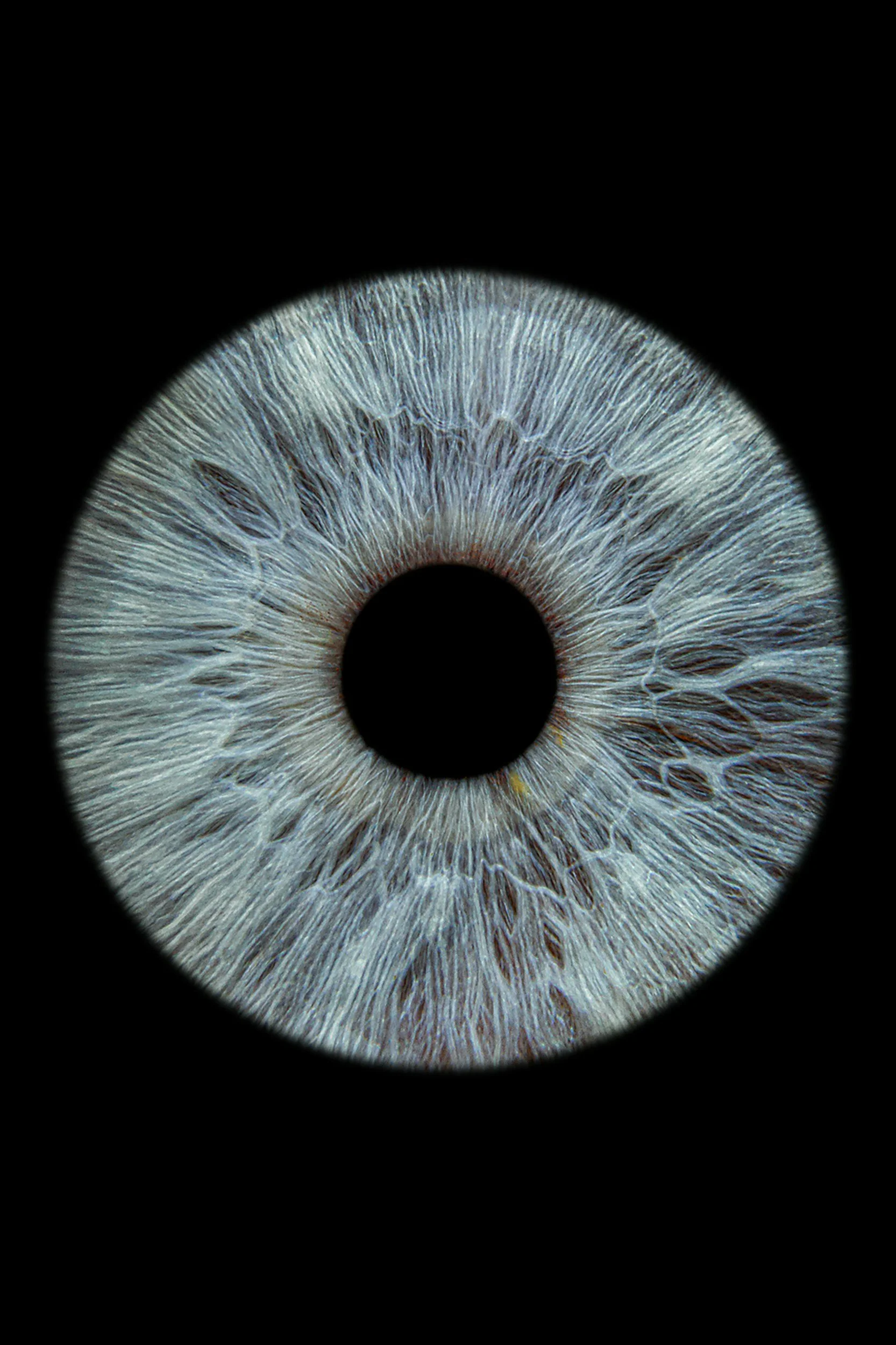 Close-up of a human eye with detailed iris and black pupil, isolated on black background.
