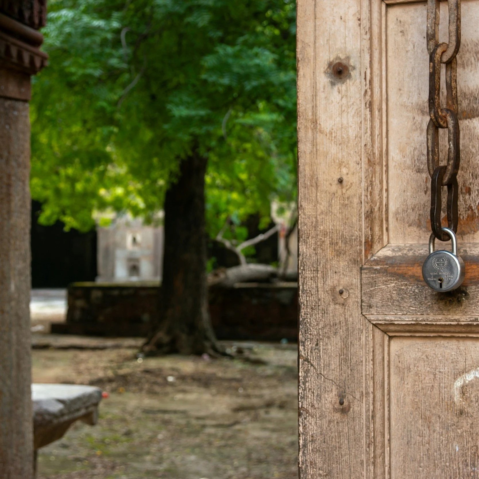 Half-open wooden door with a padlock hanging on a chain, leading to a park with trees and a stone structure in the background.