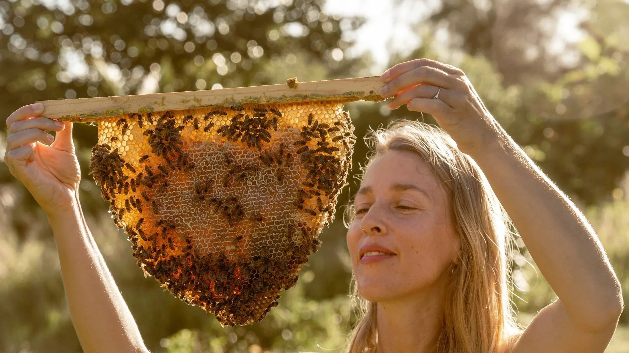 A woman holds up a honeycomb with bees on it outdoors with sunlight and blurred trees in the background.