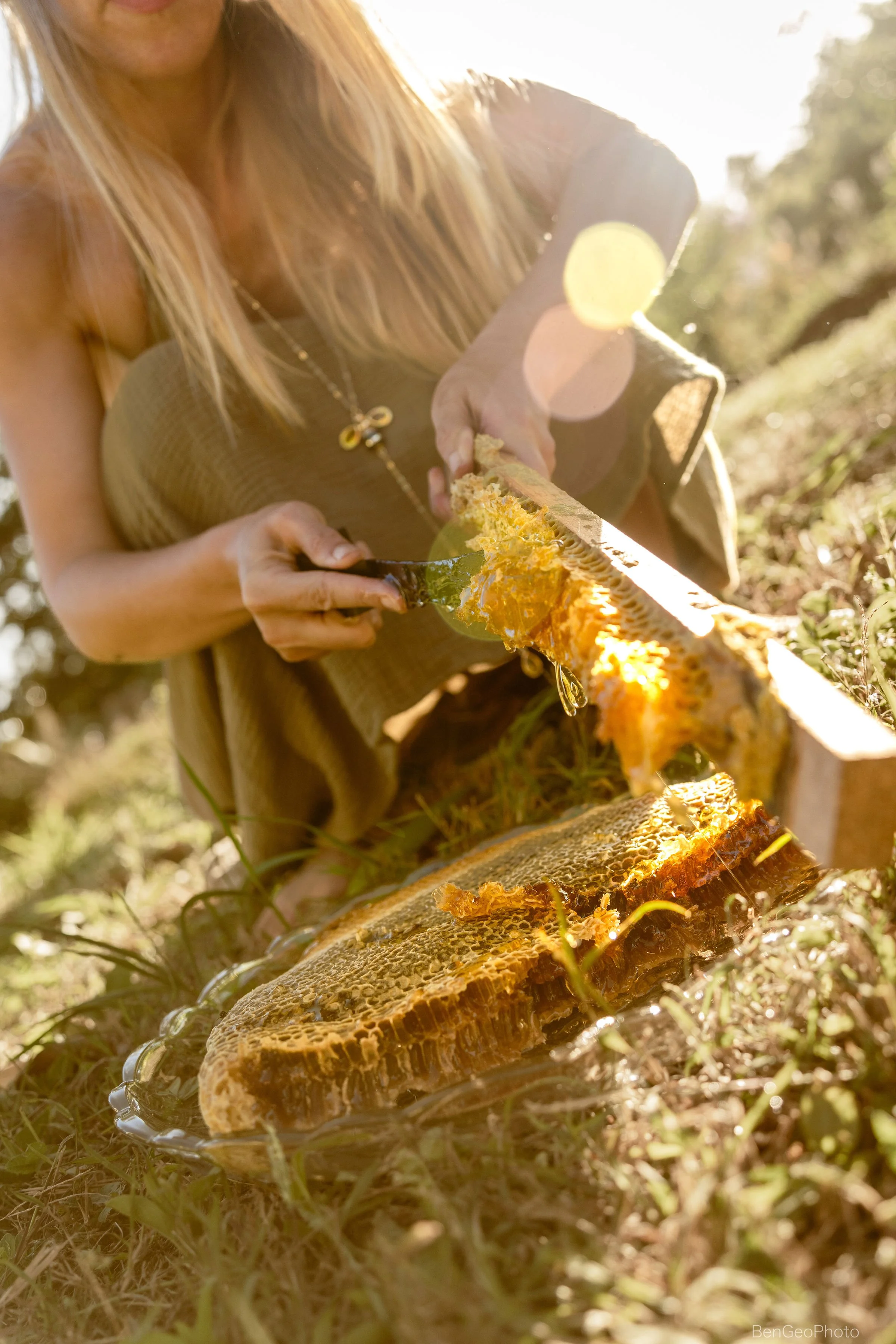 A woman with blonde hair harvesting honey from a honeycomb frame outdoors in sunlight, with bees on the honeycomb and a blurred natural background.