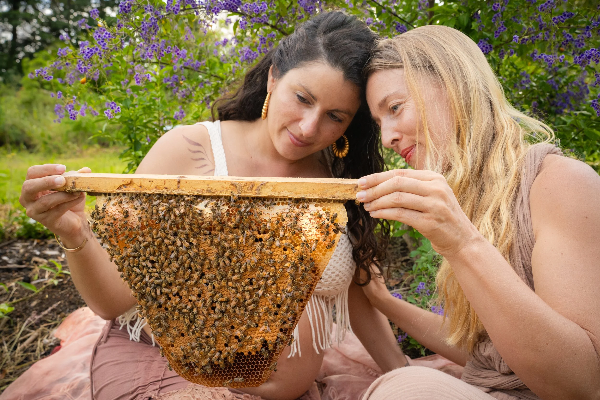 Two women sitting on the ground outdoors, closely examining a honeycomb frame covered with bees, with purple flowers and greenery in the background.