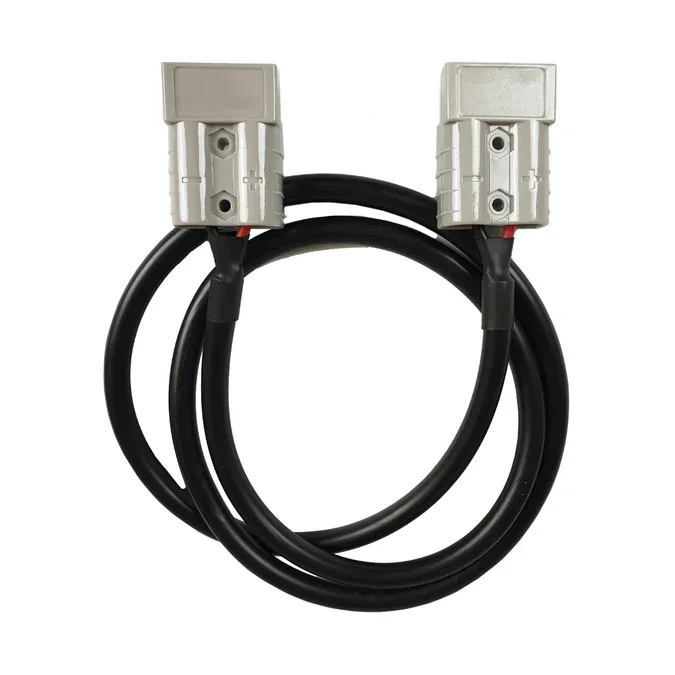 anderson extn lead.webp