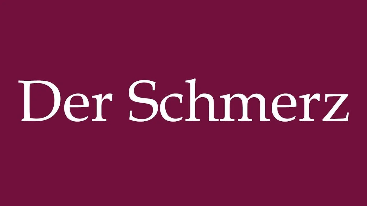Schriftzug mit dem Text "Der Schmerz" auf dunklem Rot-Hintergrund