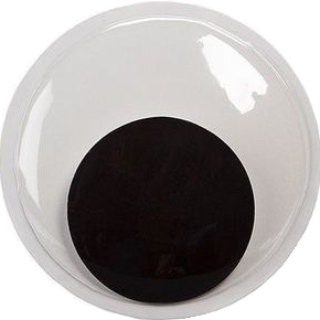 A single, large plastic googly eye with a black pupil shifted to the bottom of the white socket.