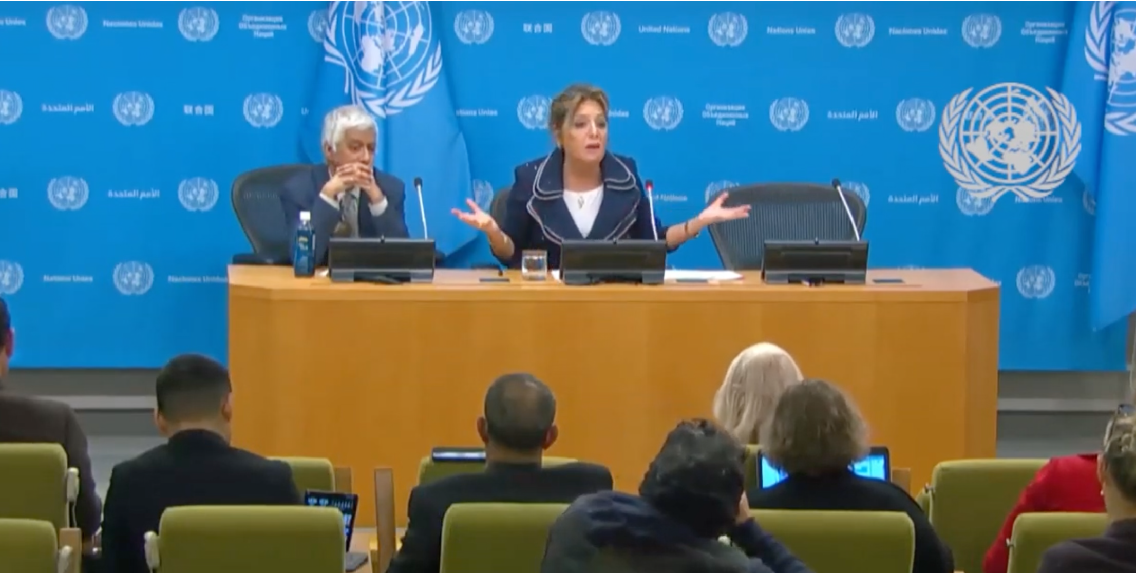 UN Press Conference: Yasmine Sherif. 