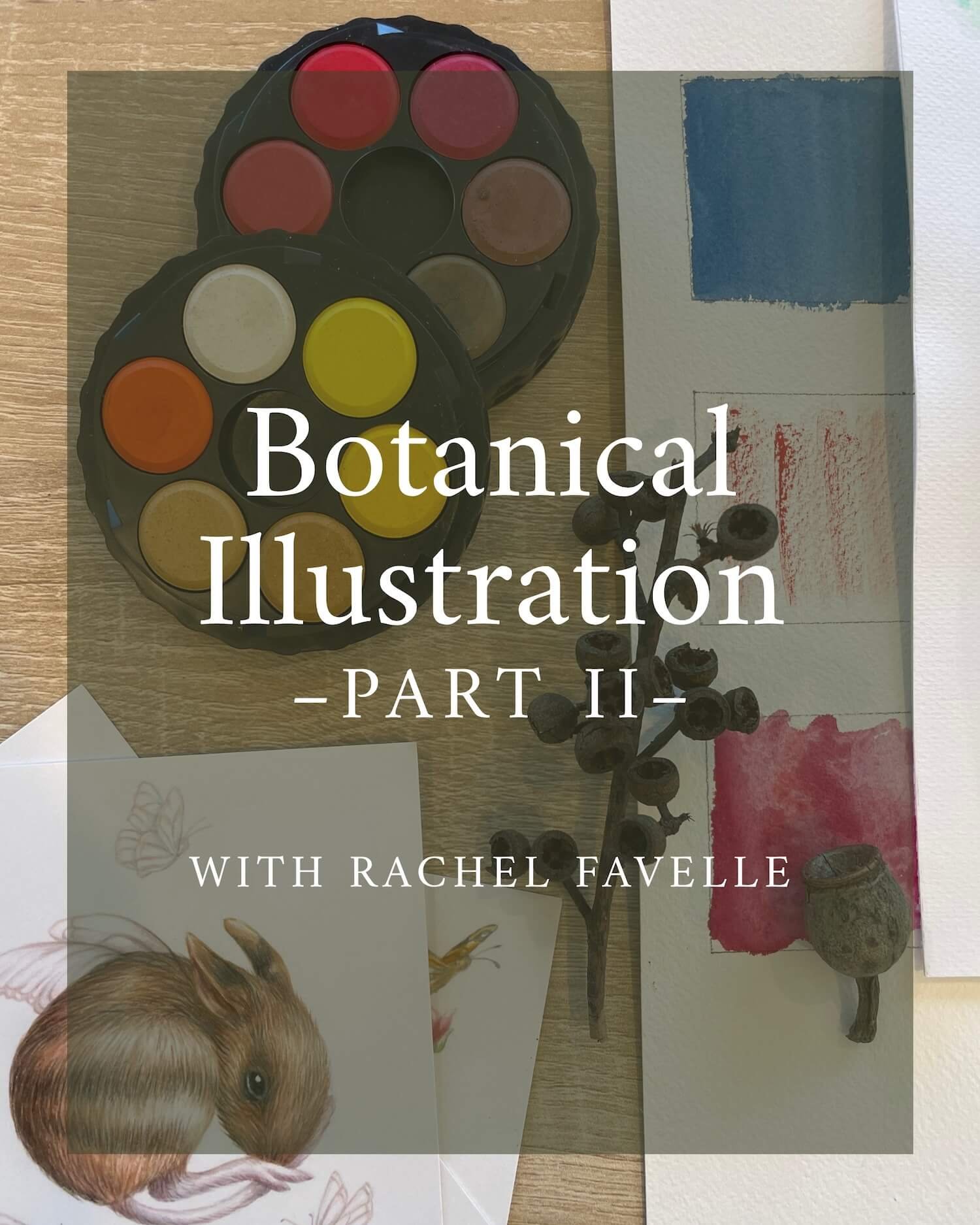 Botanical Illustration Part 2