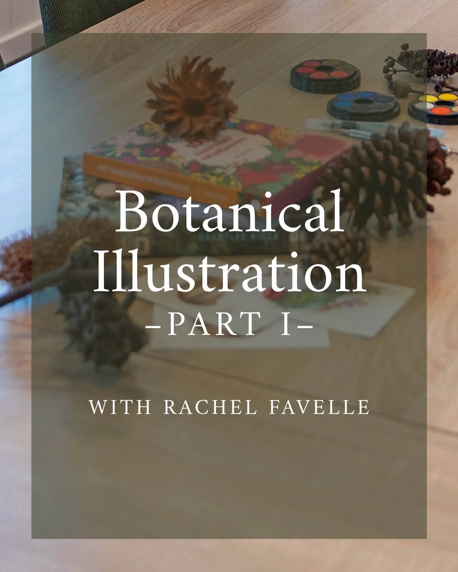Botanical Illustration Part 1