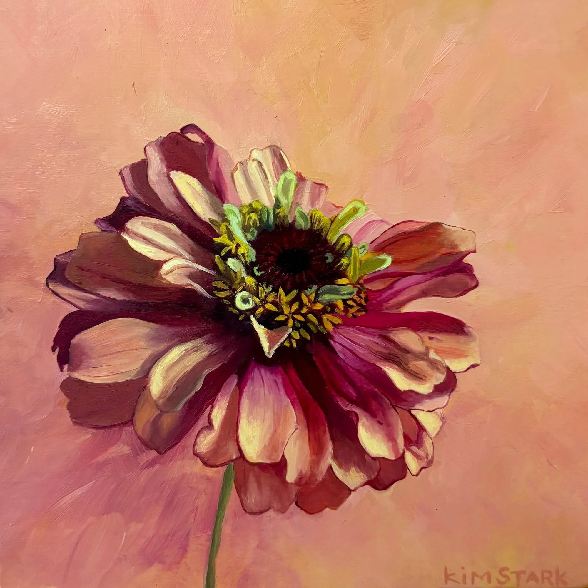 kim-stark--Peach+Zinnia+20x20cm+oil+on+board+F+%24350.jpg