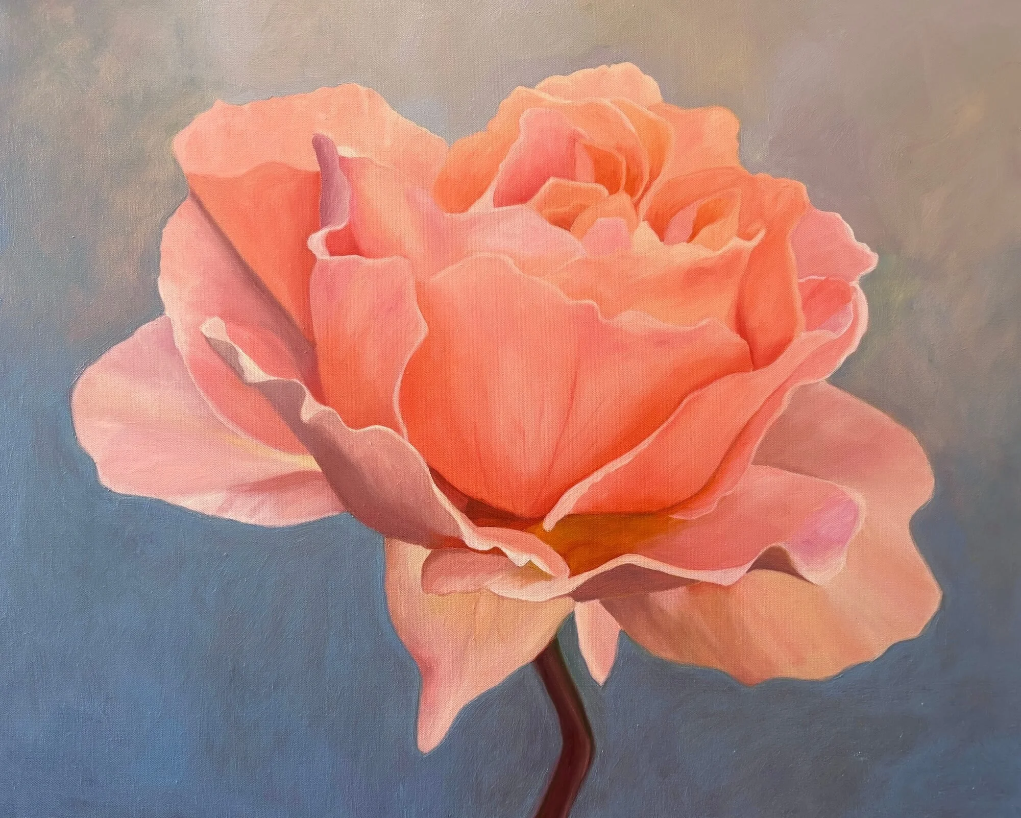 kim-stark--Peach+Rose+76x59cm+canvas+print+F+%24320.jpg