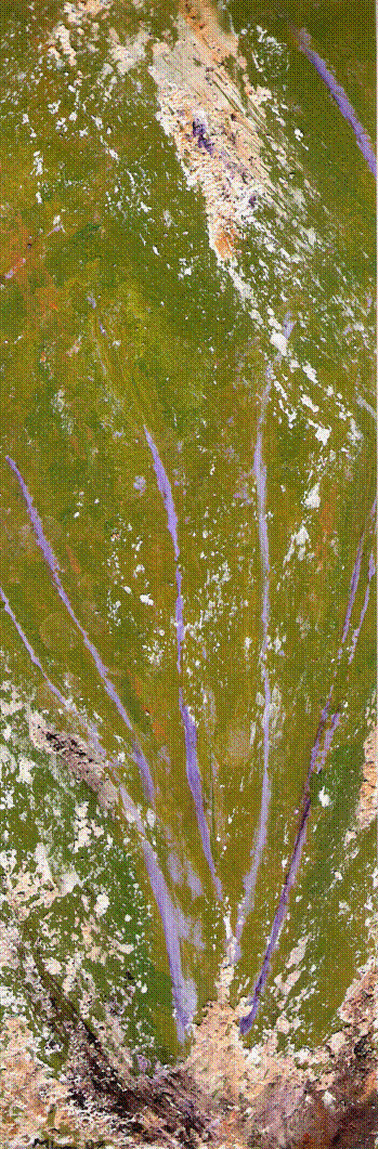 Une tranche de végétal avec des lignes violettes sur fond vert et des taches blanches.