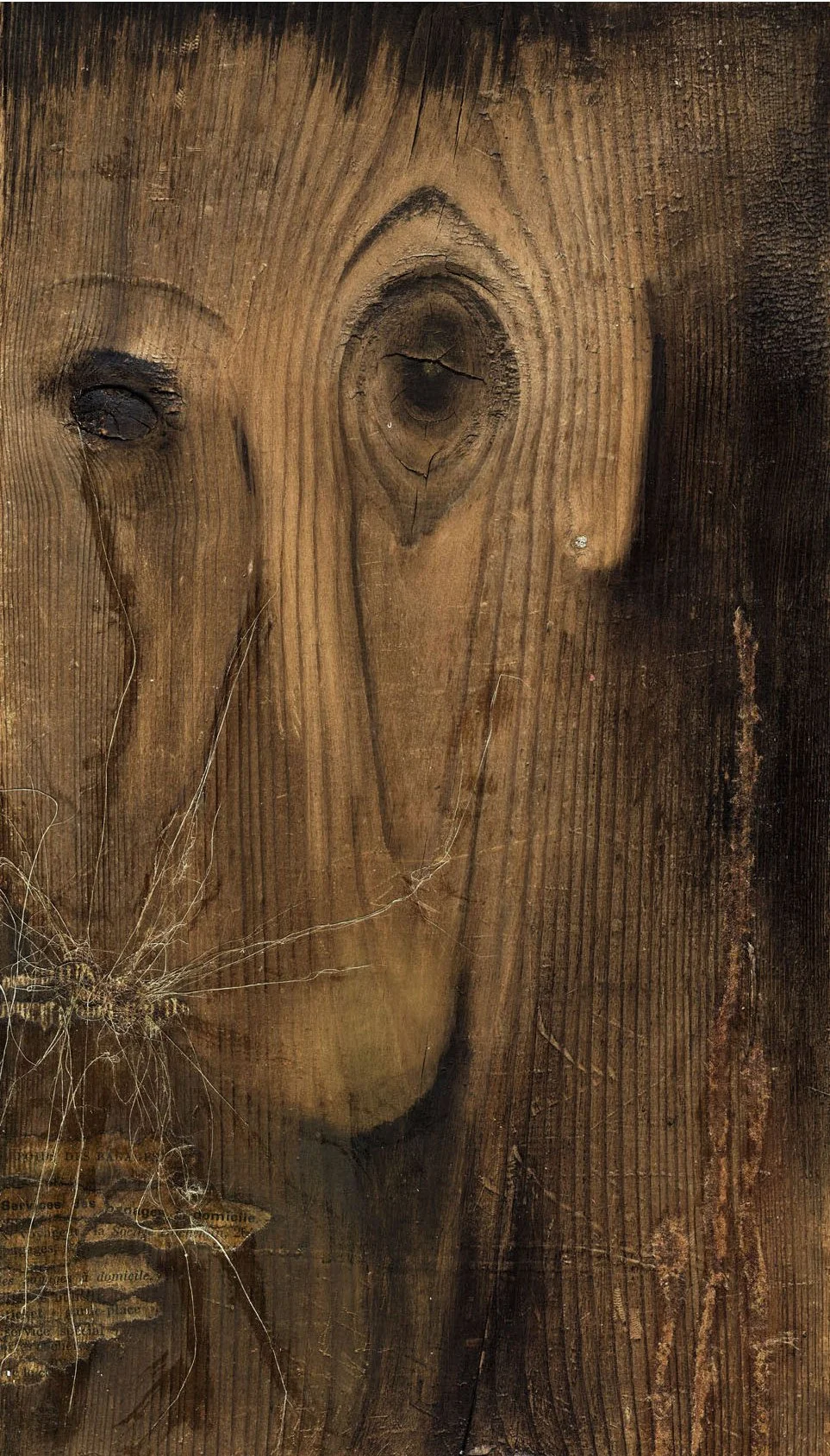 Texture de bois avec une silhouette gravée évoquant un visage humain, incluant des nœuds et des fissures.