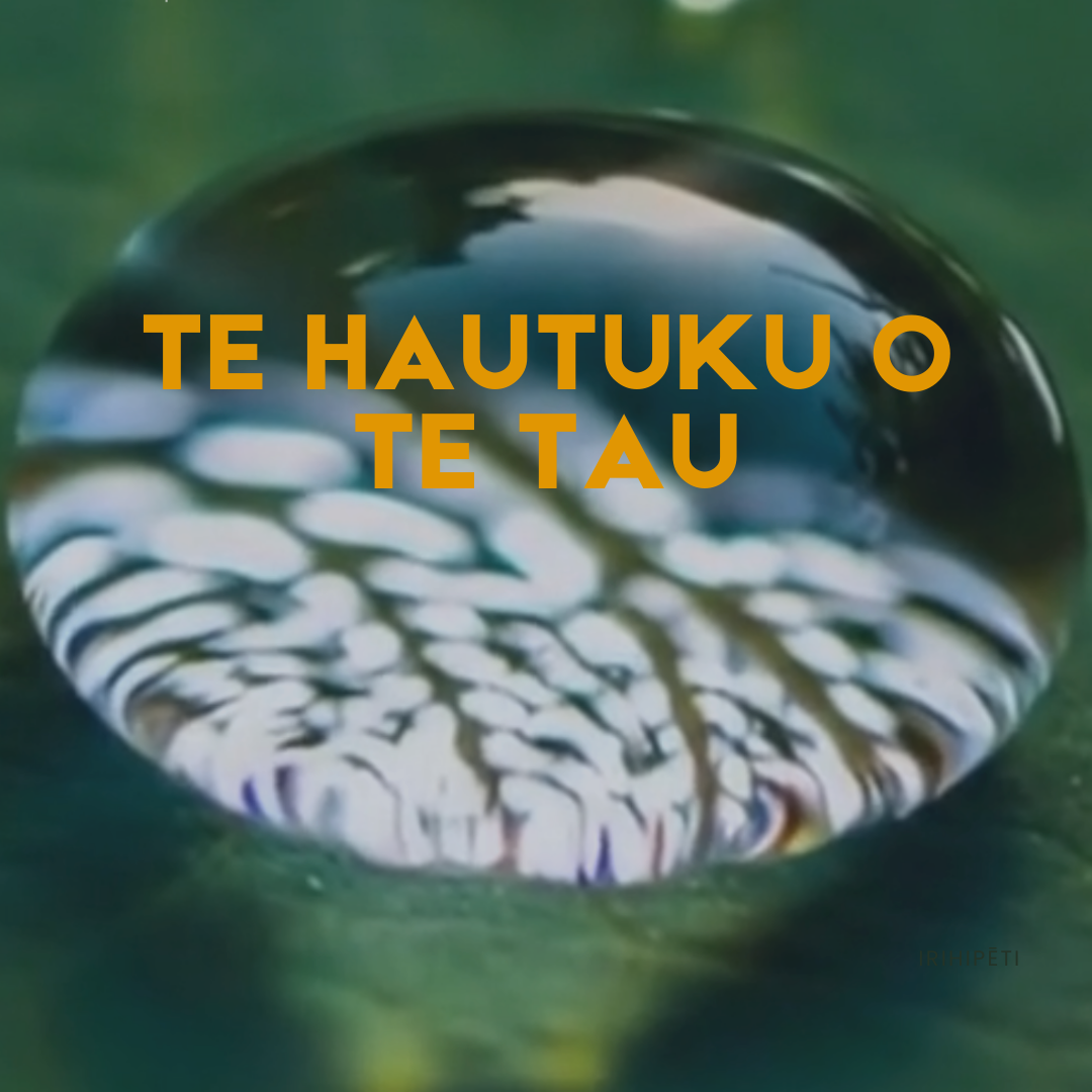 WĀNANGA - Te Hauhake O Te Tau