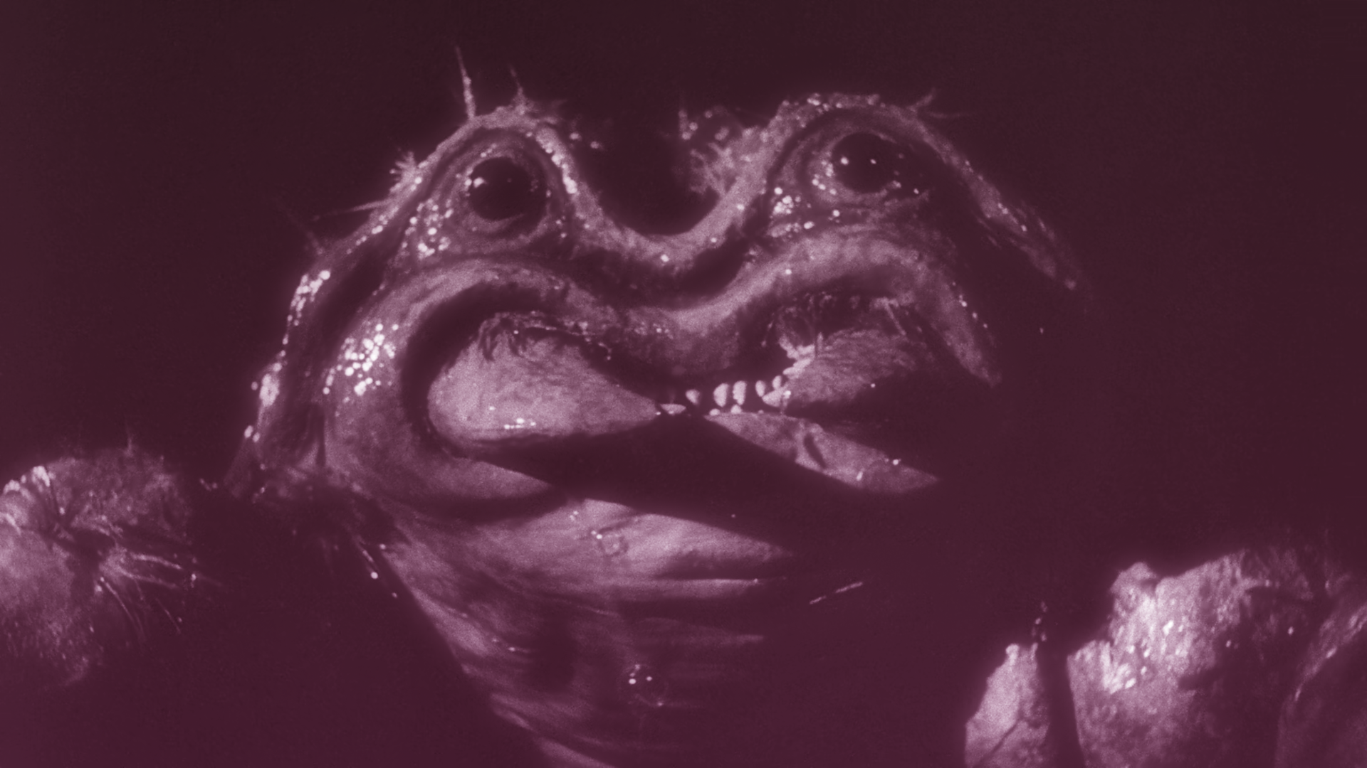 Related Video Item Thumbnail