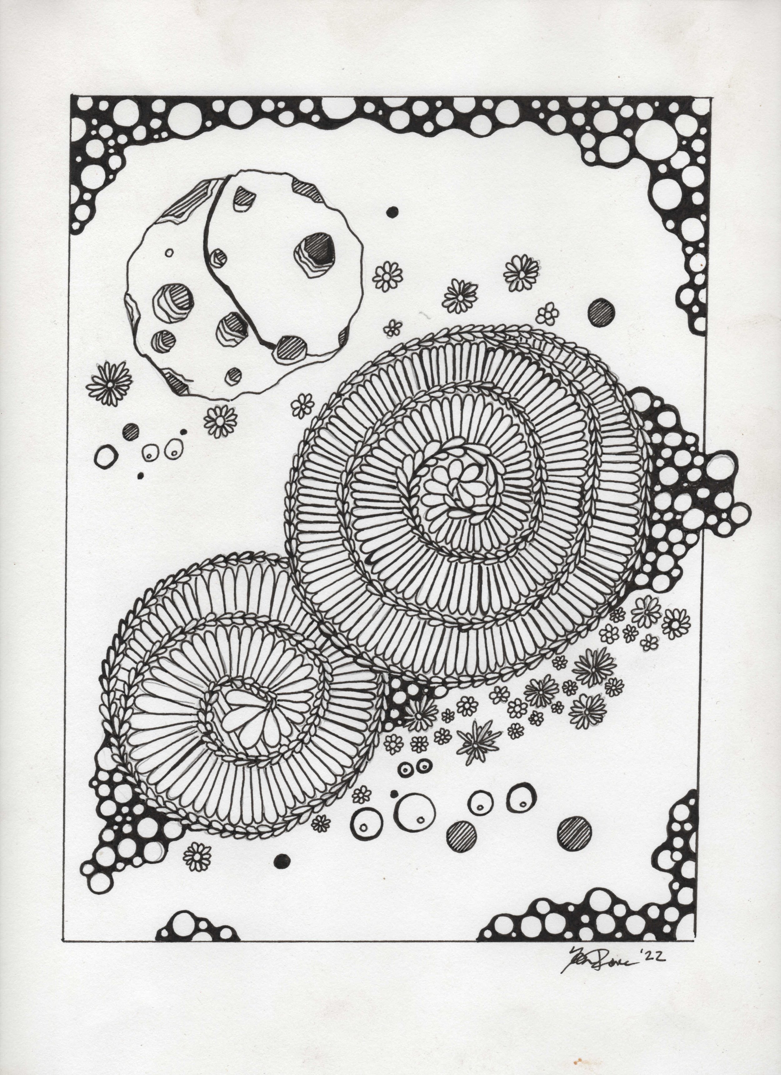 spiral.jpg