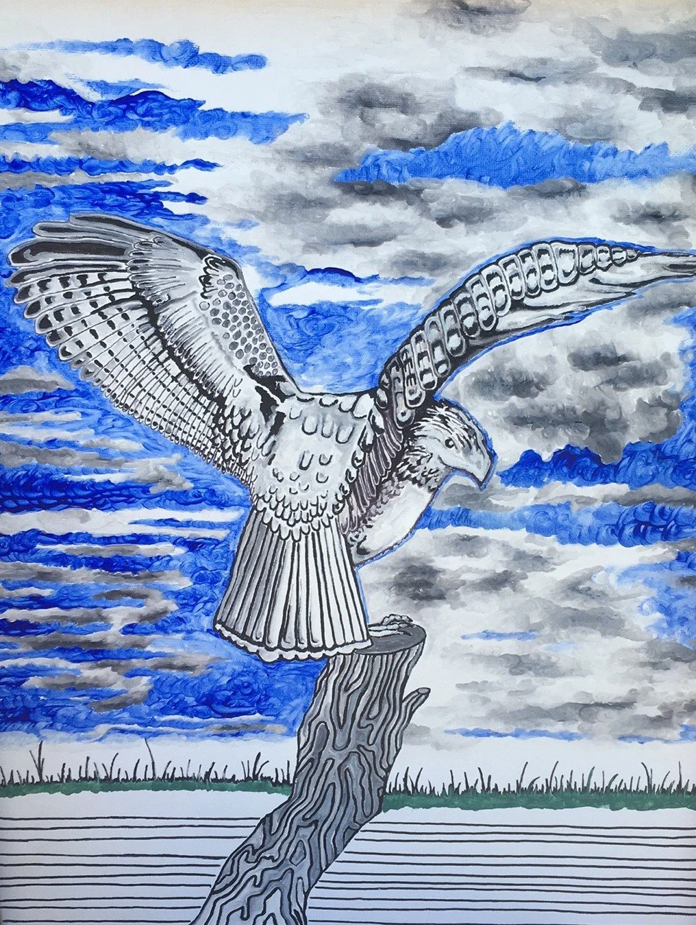 bird-perch-falcon.jpg