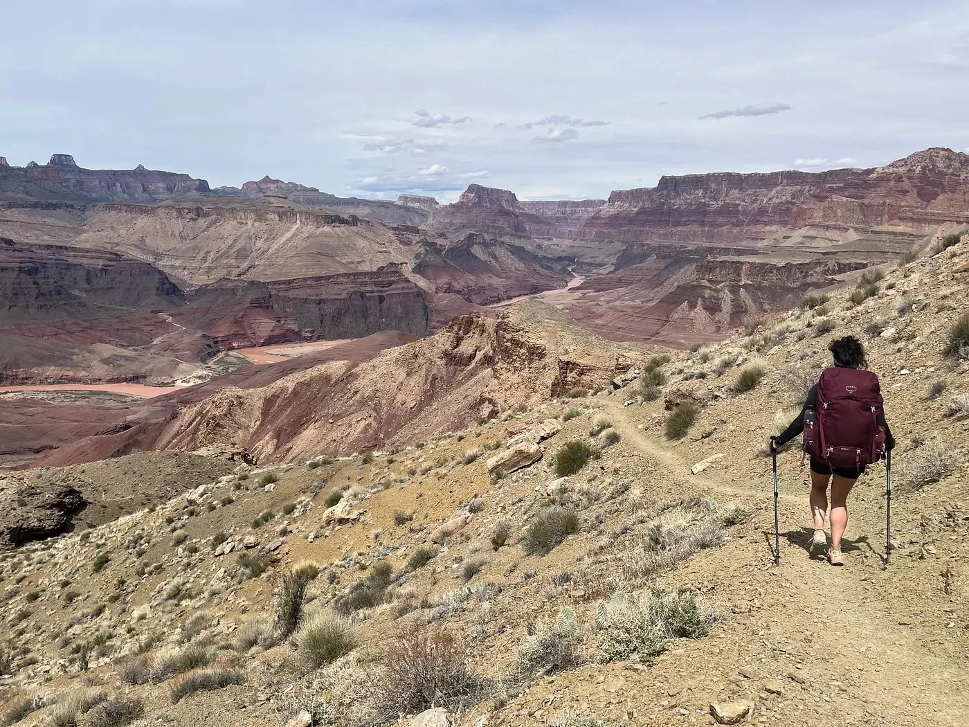 a woman hiking in the grand canyon