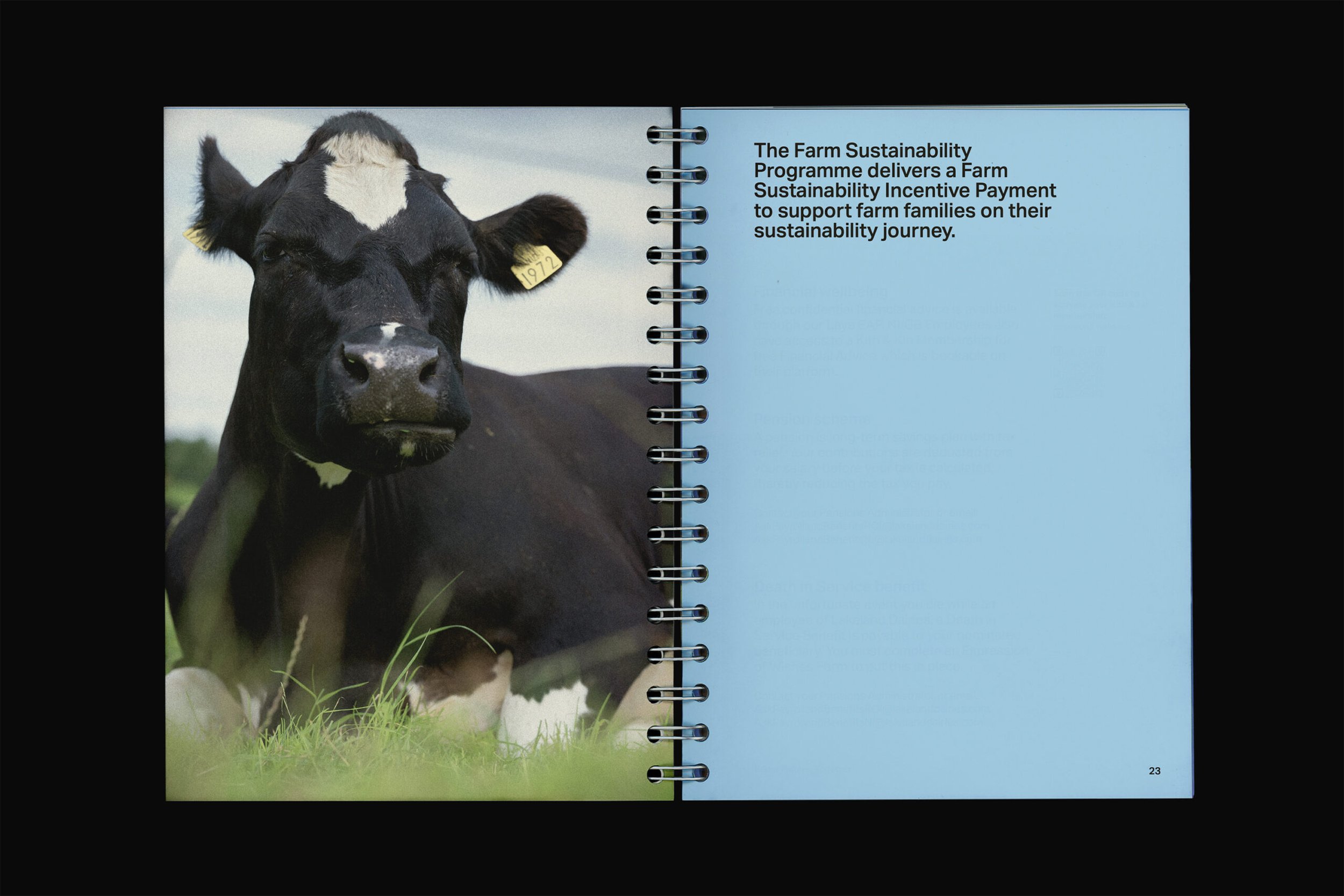 Lakeland_Handbook_ScanFlat-scaled.jpg