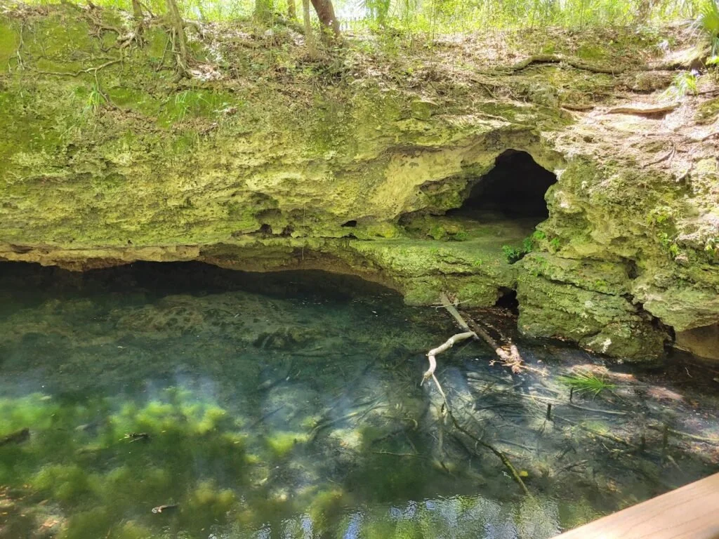Moss-covered limestone cave opening over a clear still pool — liminal space and threshold imagery for The Alchemist’s Vine