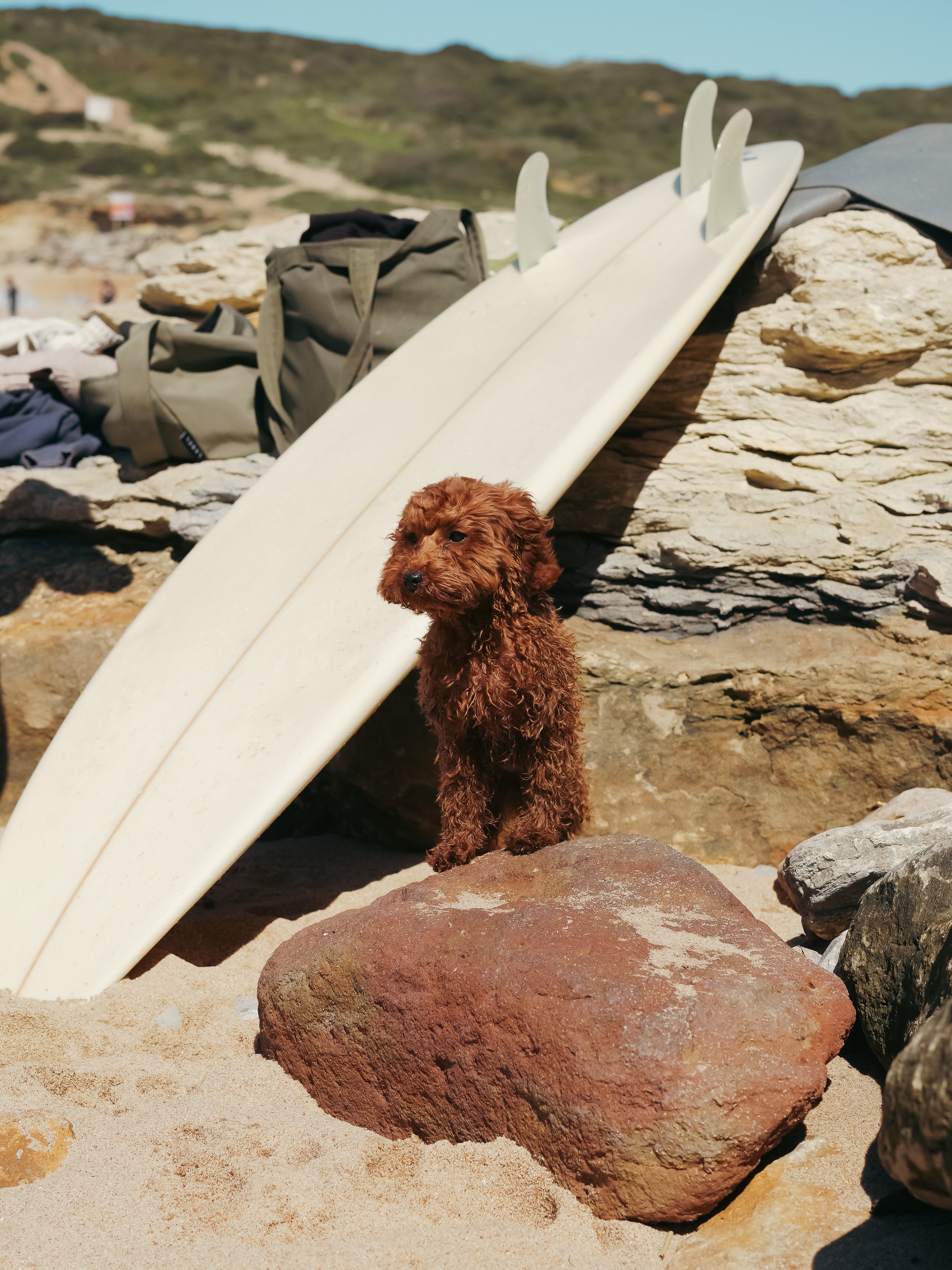 Free time at beach during retreat experience