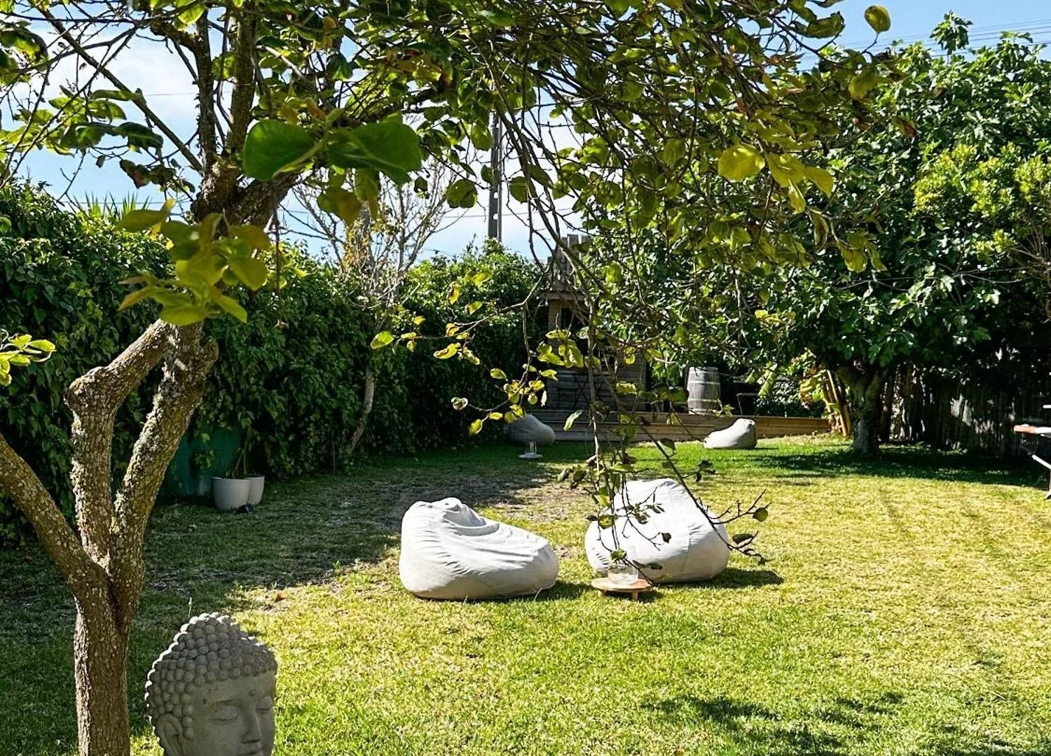 A backyard garden with green grass and white bean bag chairs for comfortable stay during surf and yoga retreat