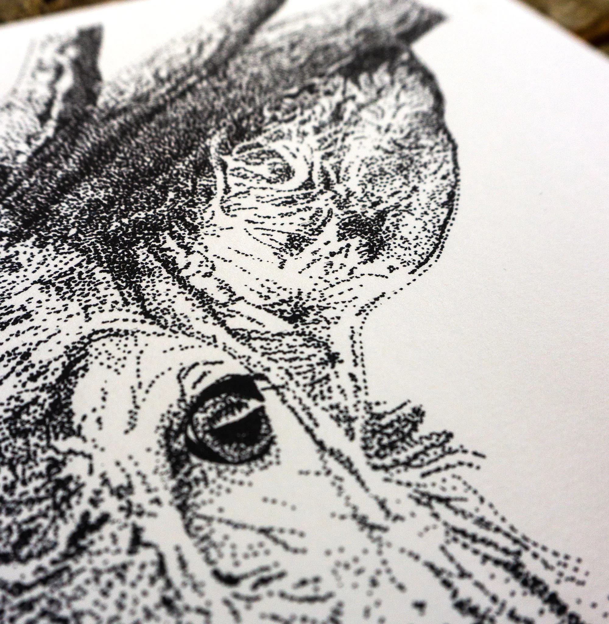 DSC03182 - Agostina Zampieri.jpg