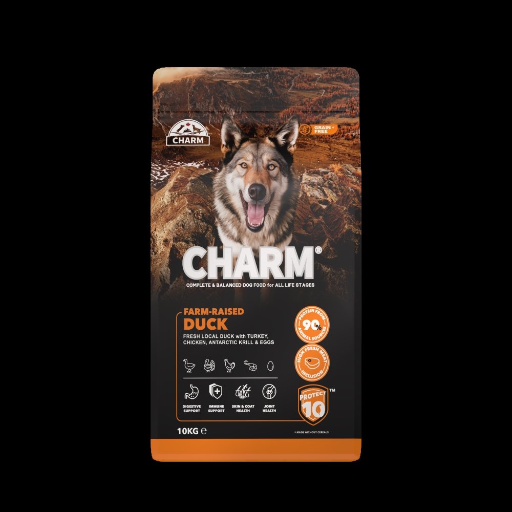 CHARM Canard elevage fermier - Chien (Farm Raised Duck)