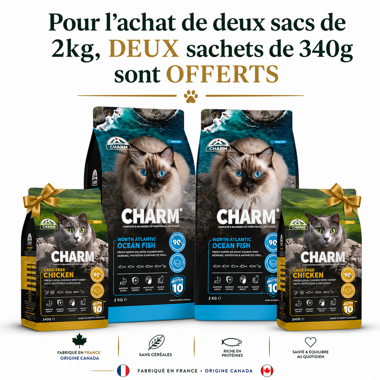 ChatGPT Image 19 juil. 2026, 13_33_38.png