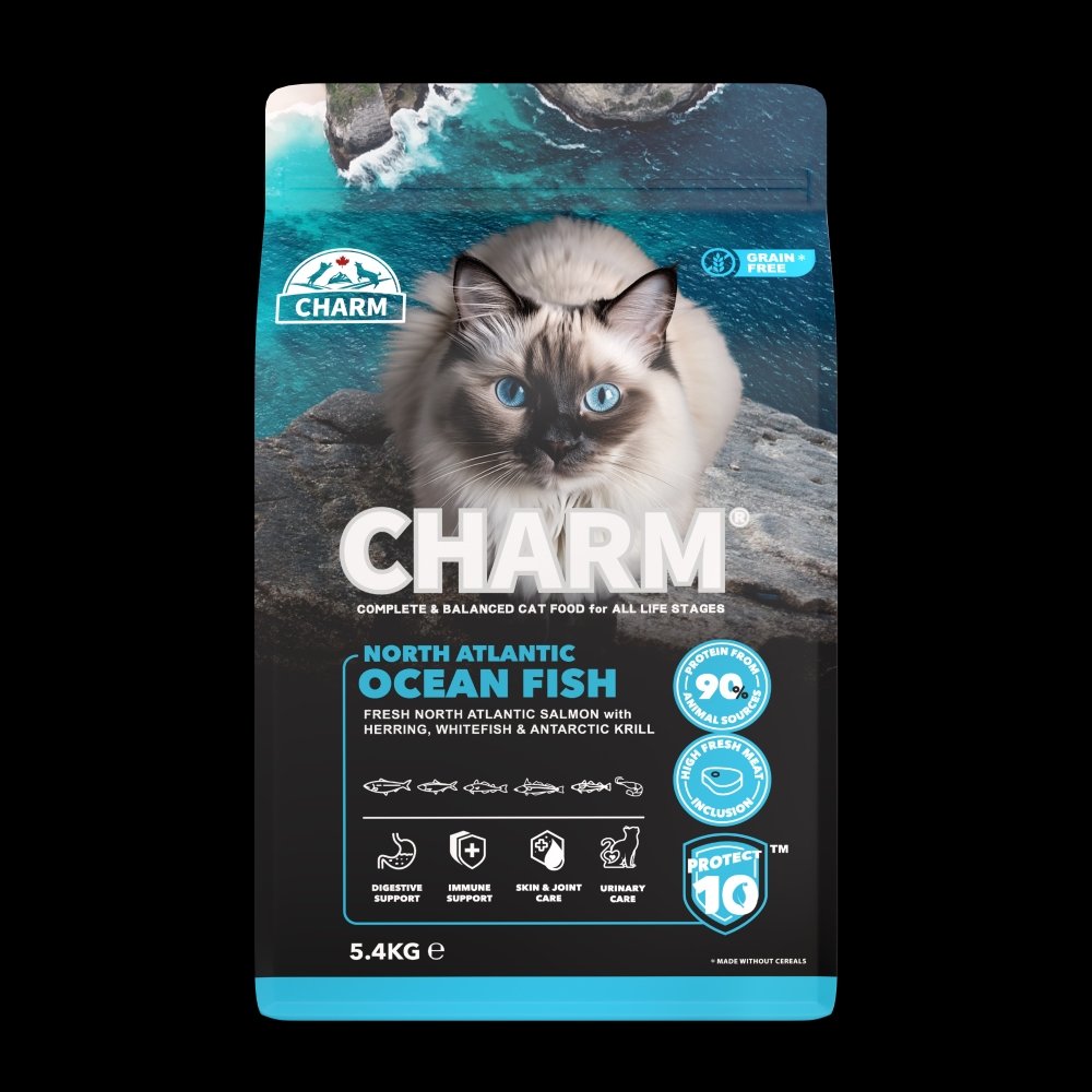 CHARM Poisson sauvage Atlantique Nord - Chat