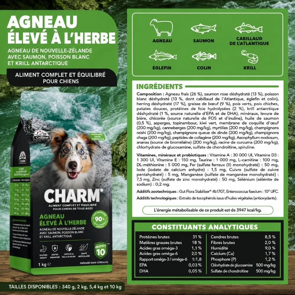 Fiche technique - CHARM Agneau nourri a l'herbe Chien