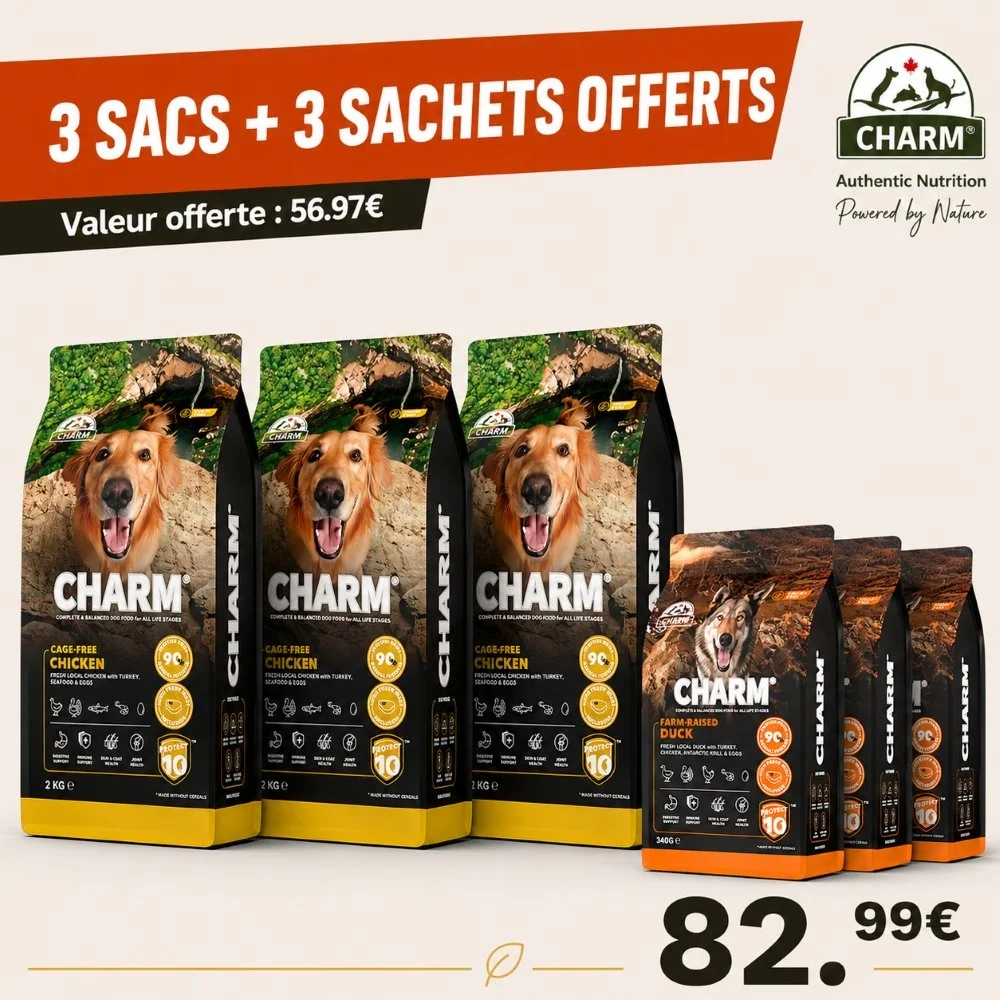 ChatGPT Image 5 août 2026, 11_28_26.jpg