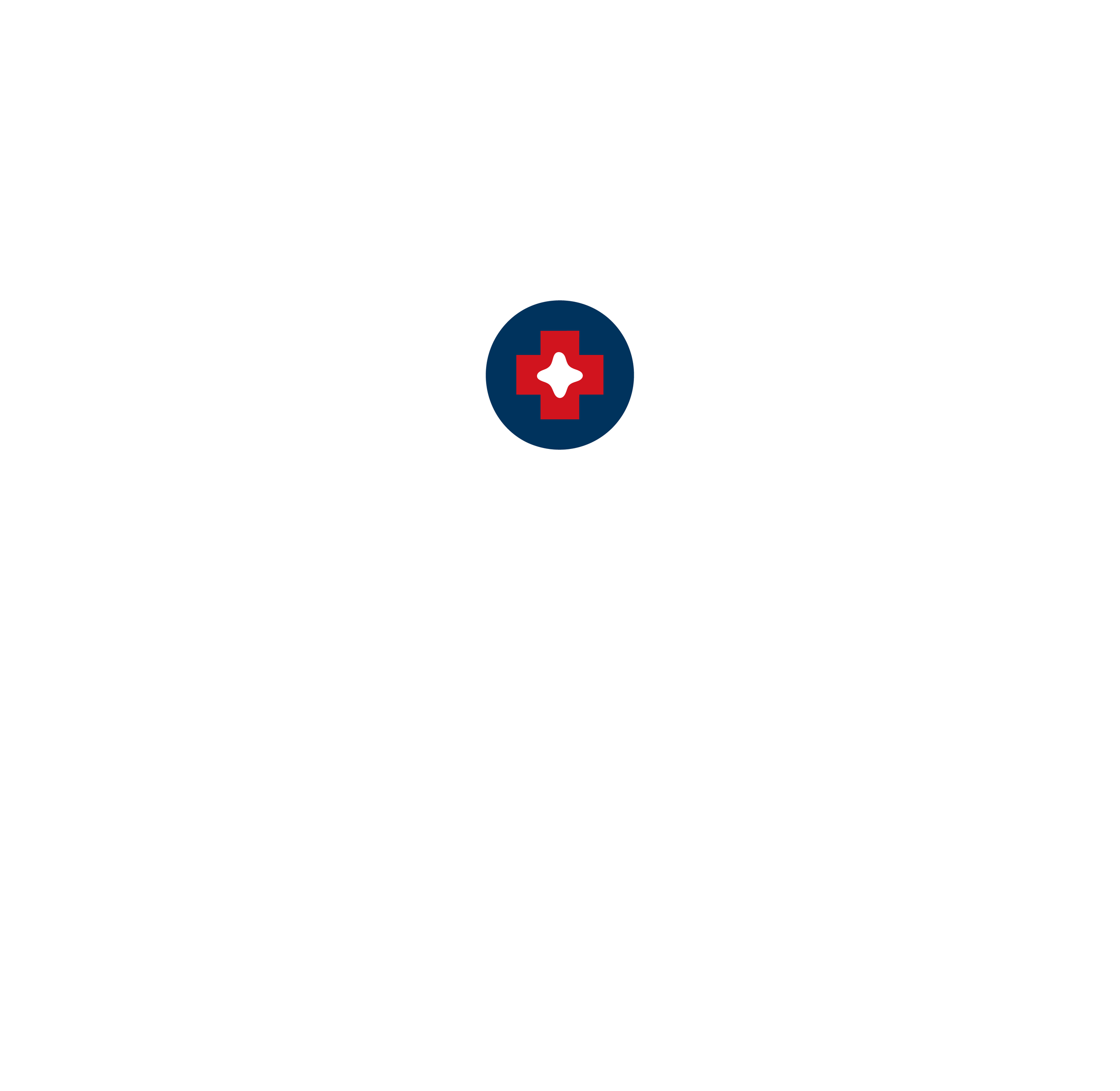 Meyer Strategics