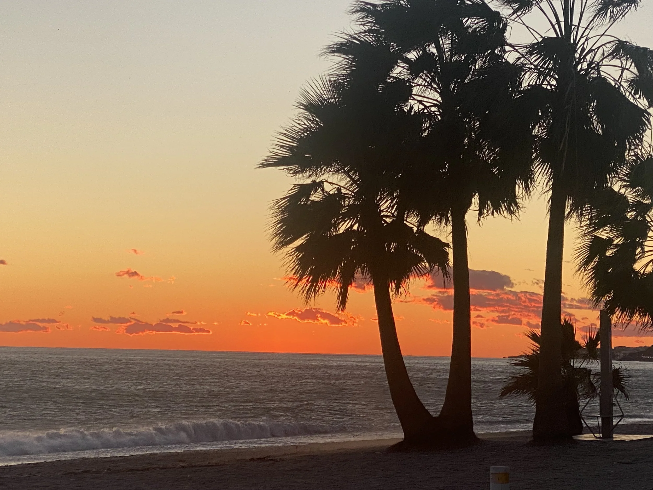 Zonsondergang boven de oceaan met silhouetten van palmbomen op het strand.