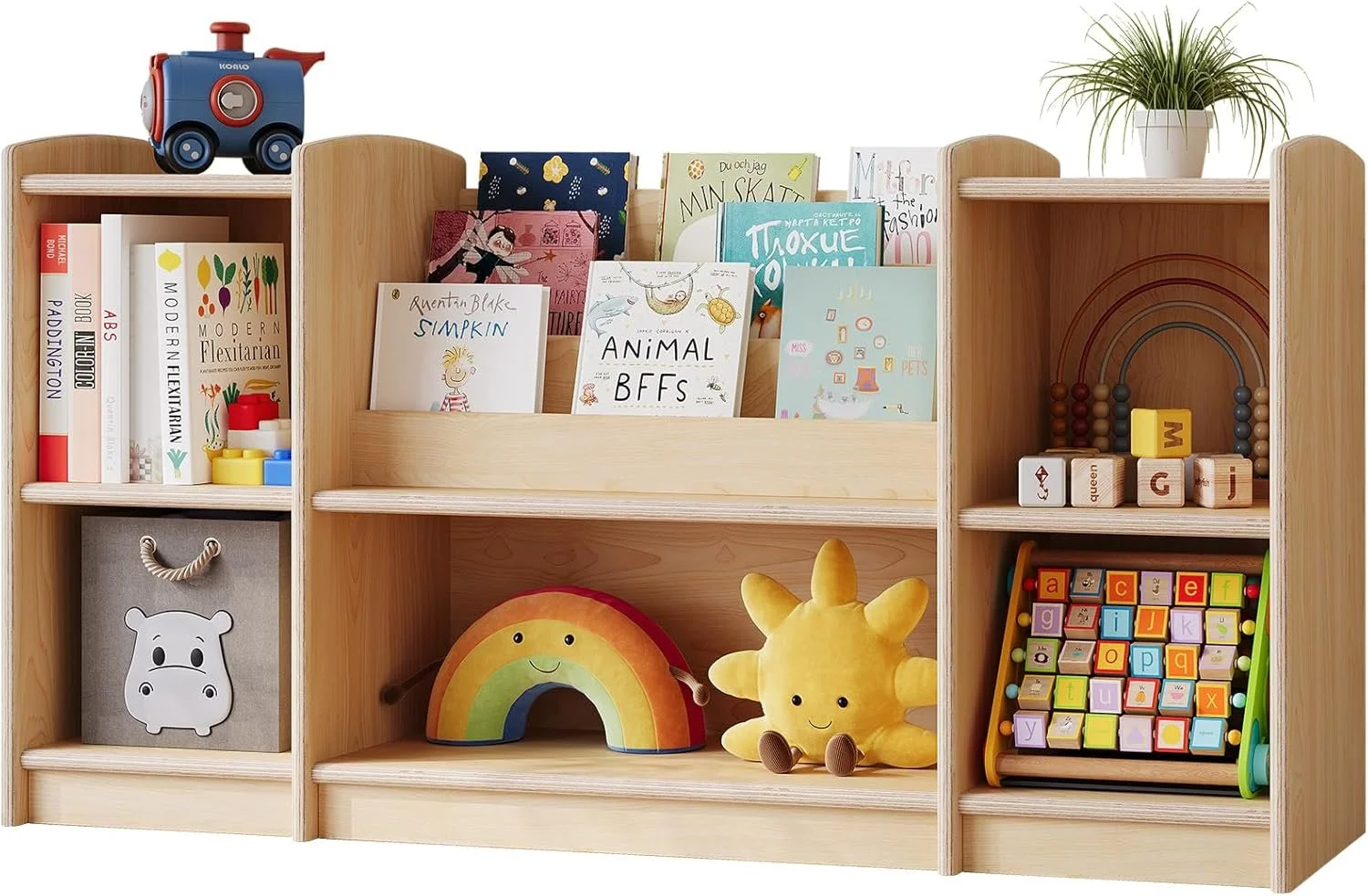 Bookshelf and Toy Storage