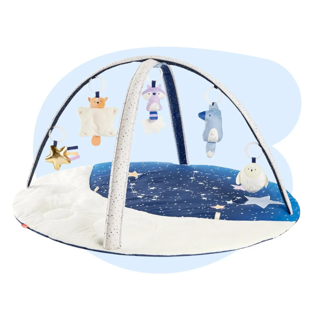 Baby Play Gym