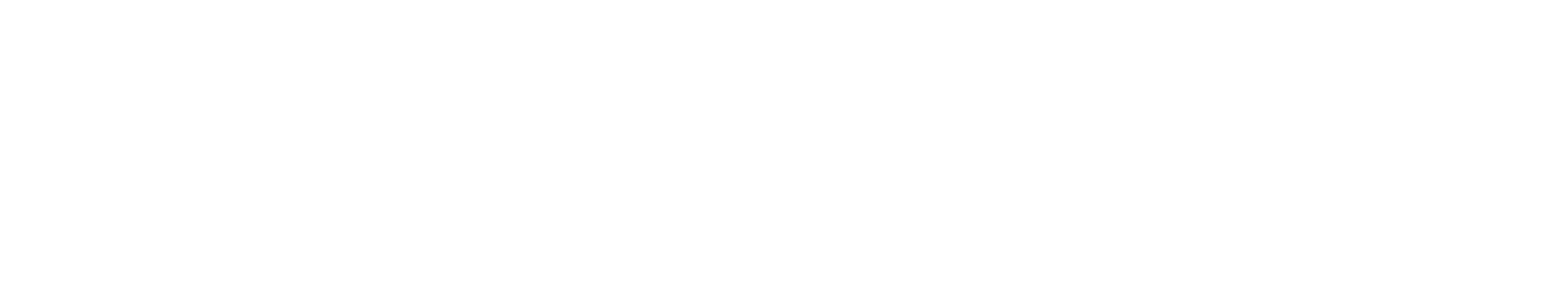 FlexPass